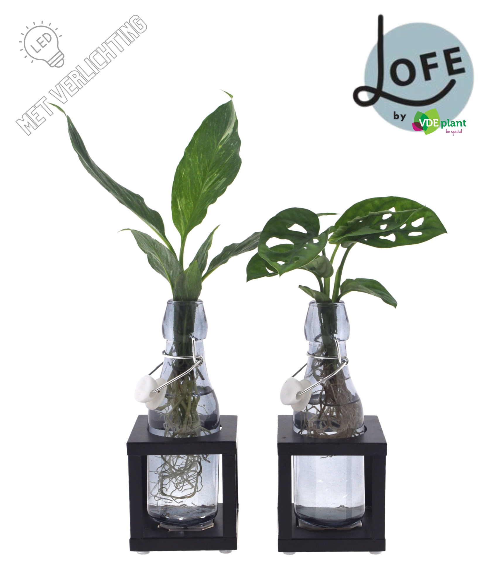 LOFE | Intenz mix in Ann getint glas + metalen houder + LED, D 7 cm