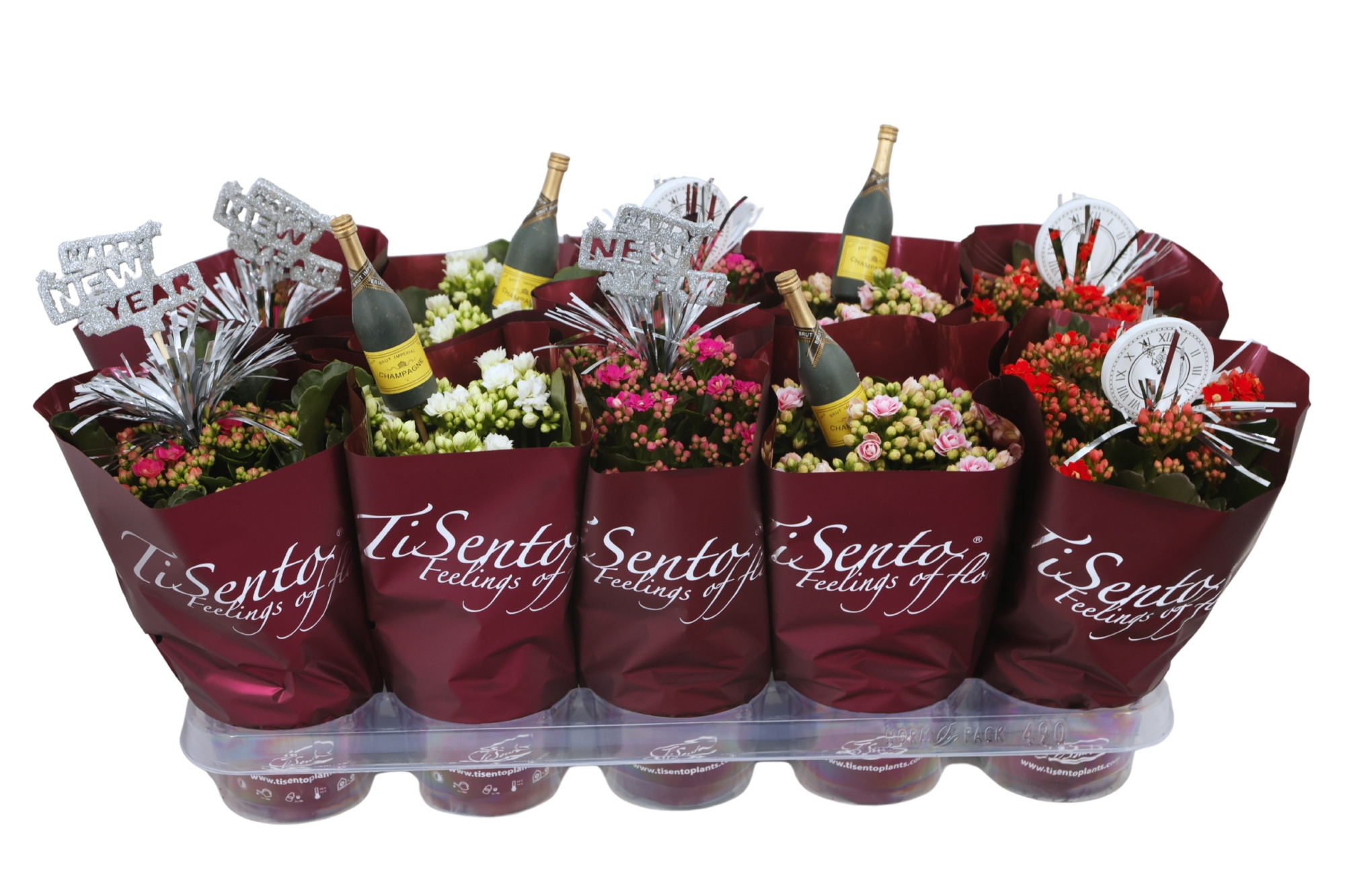 Calandiva 12 cmNew year's mix+ steker Happy New Year Special, D 12