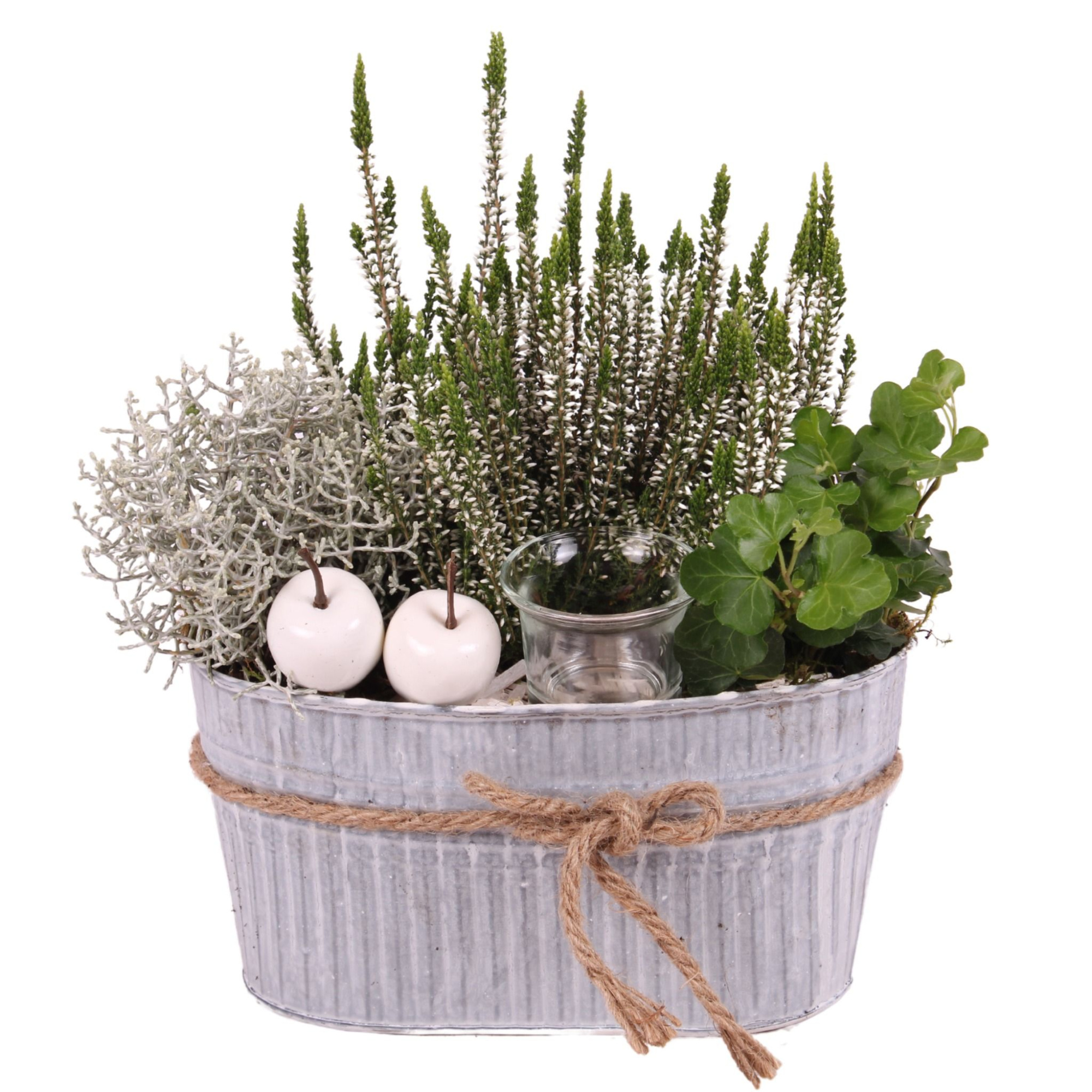 All Saints Arr. Outdoor Zinc Pot with Rope Oval Ø25cm 3PP, D 25 cm