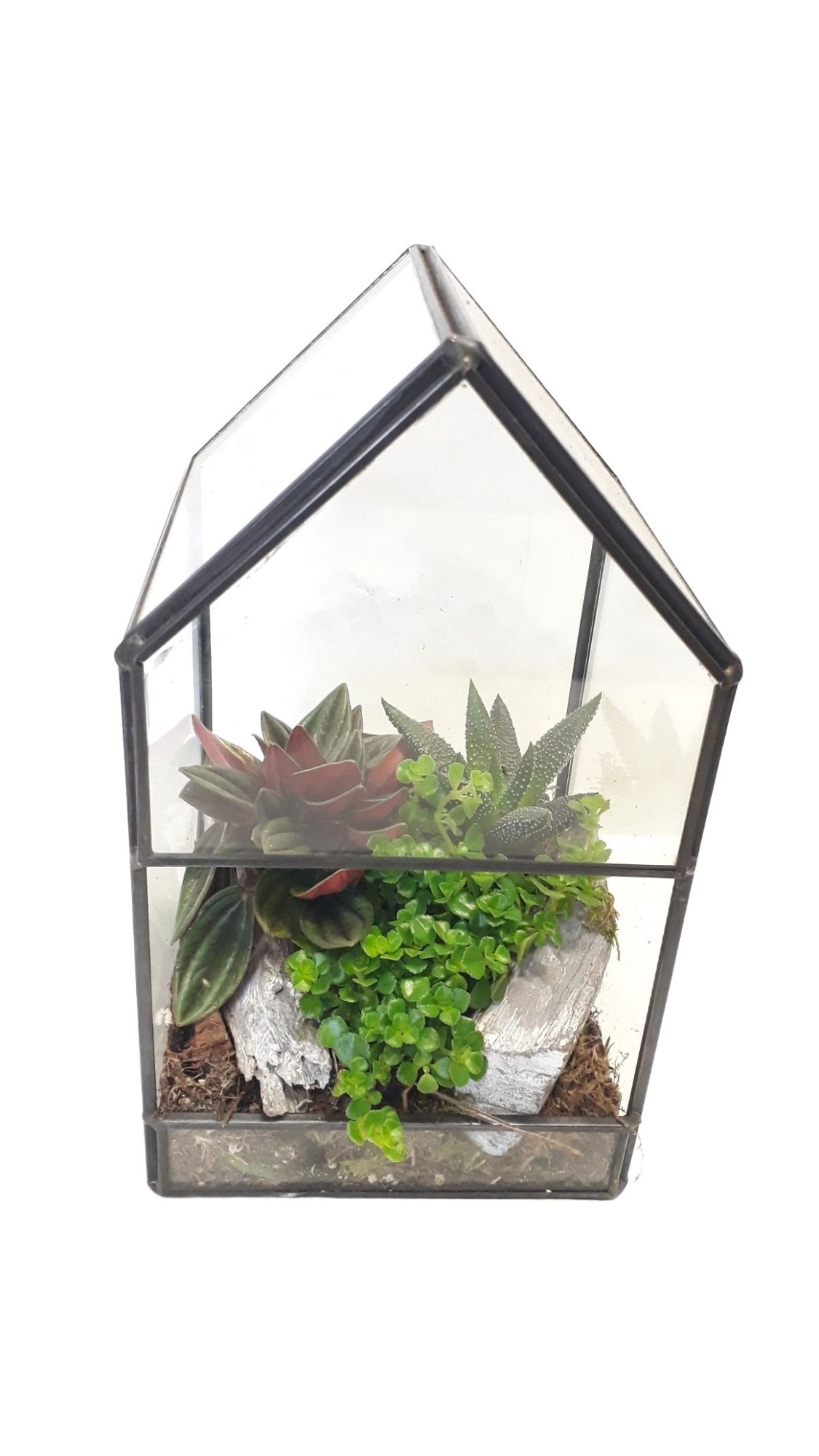 GHK12RCD Terrarium glashouse Mini gr.mix, D 12