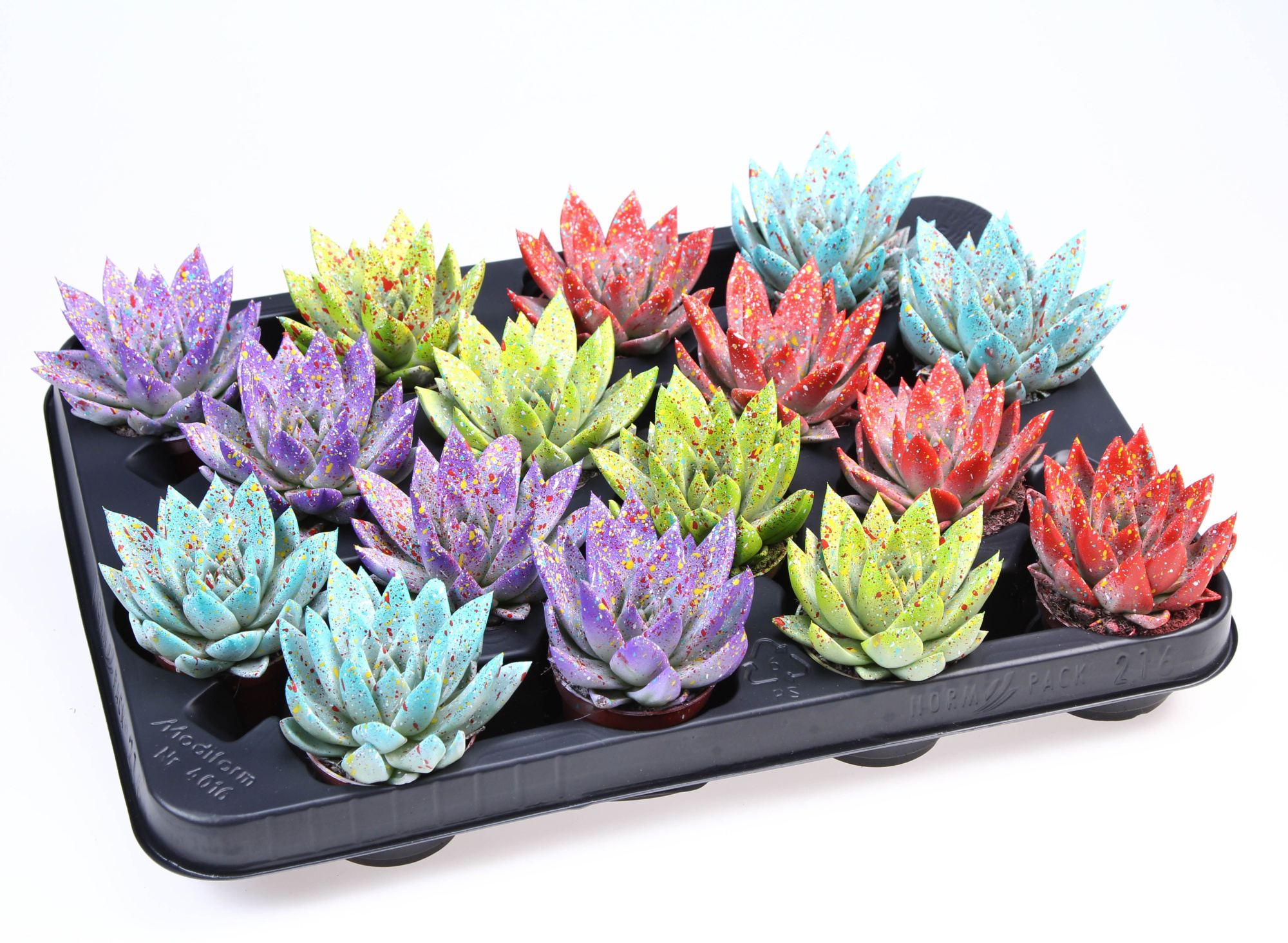 Rainbow sprinkle mix, D 6 cm