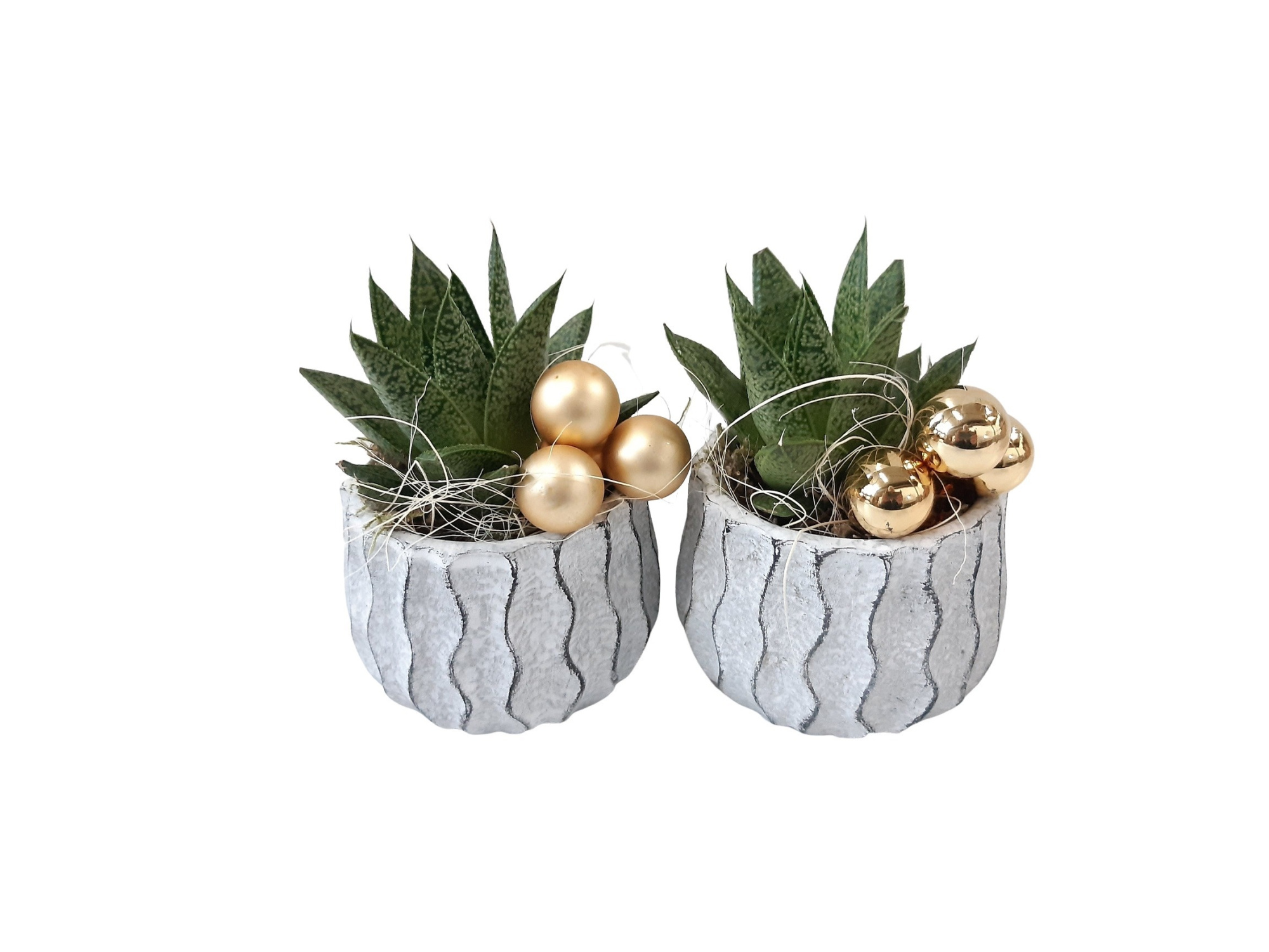 WP8KST Wave Pot Cement 8cm mini Gasteria KERST, D 8