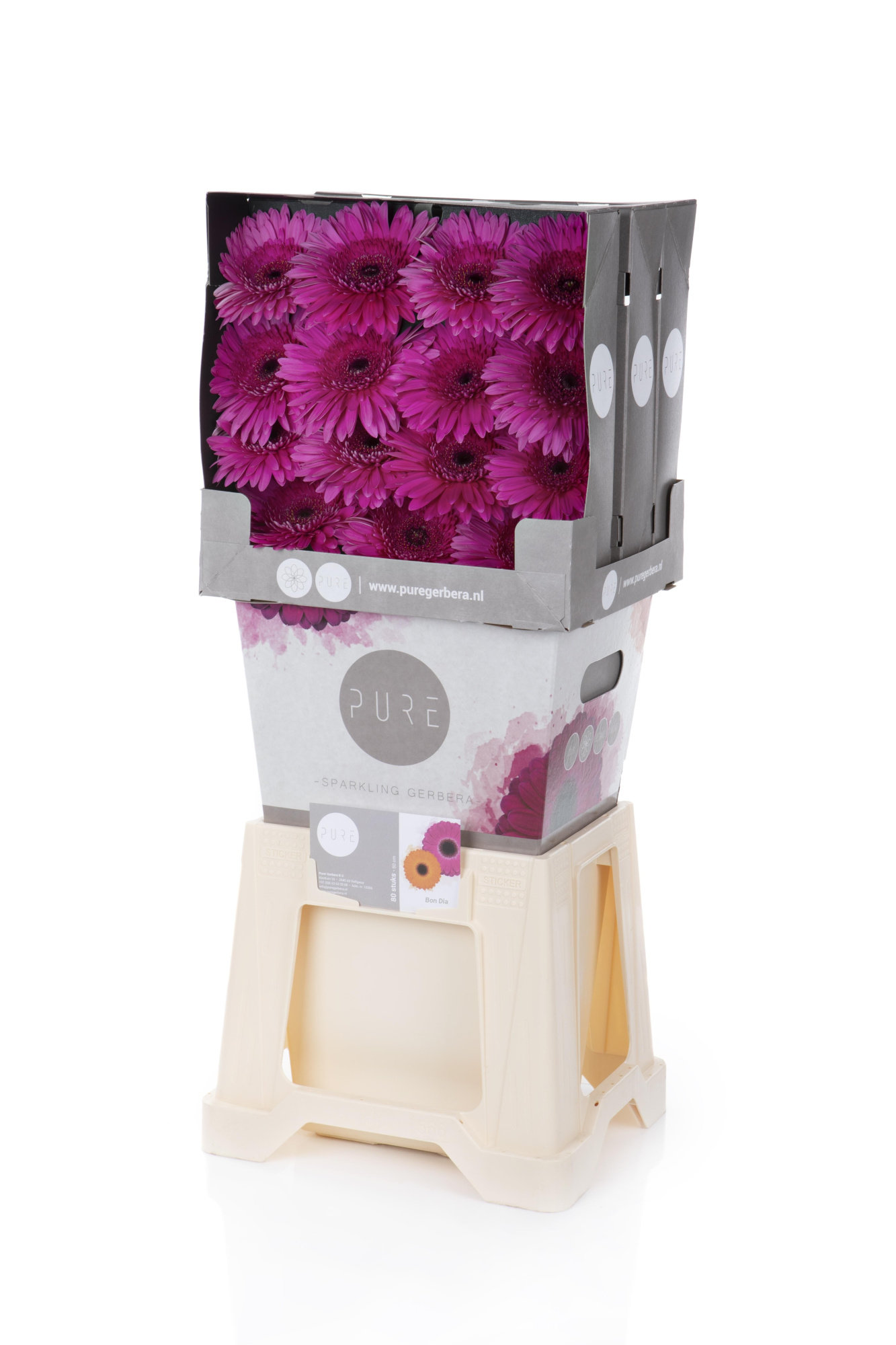 Гербера Бон Диа, шт.