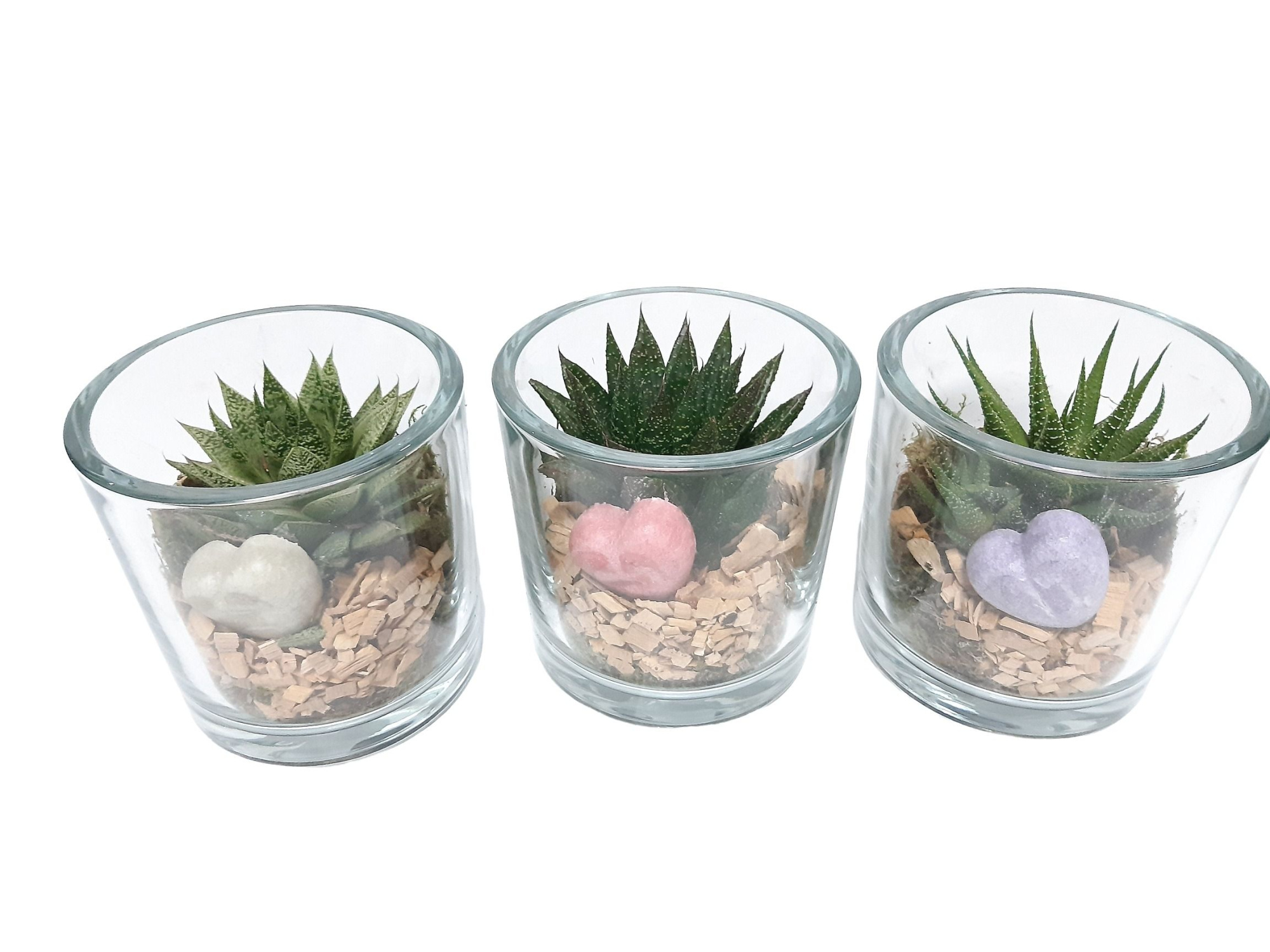 GCI14SUCAH Cilinderglas Heavy Succulentmix Aroma Heart, D 14 cm
