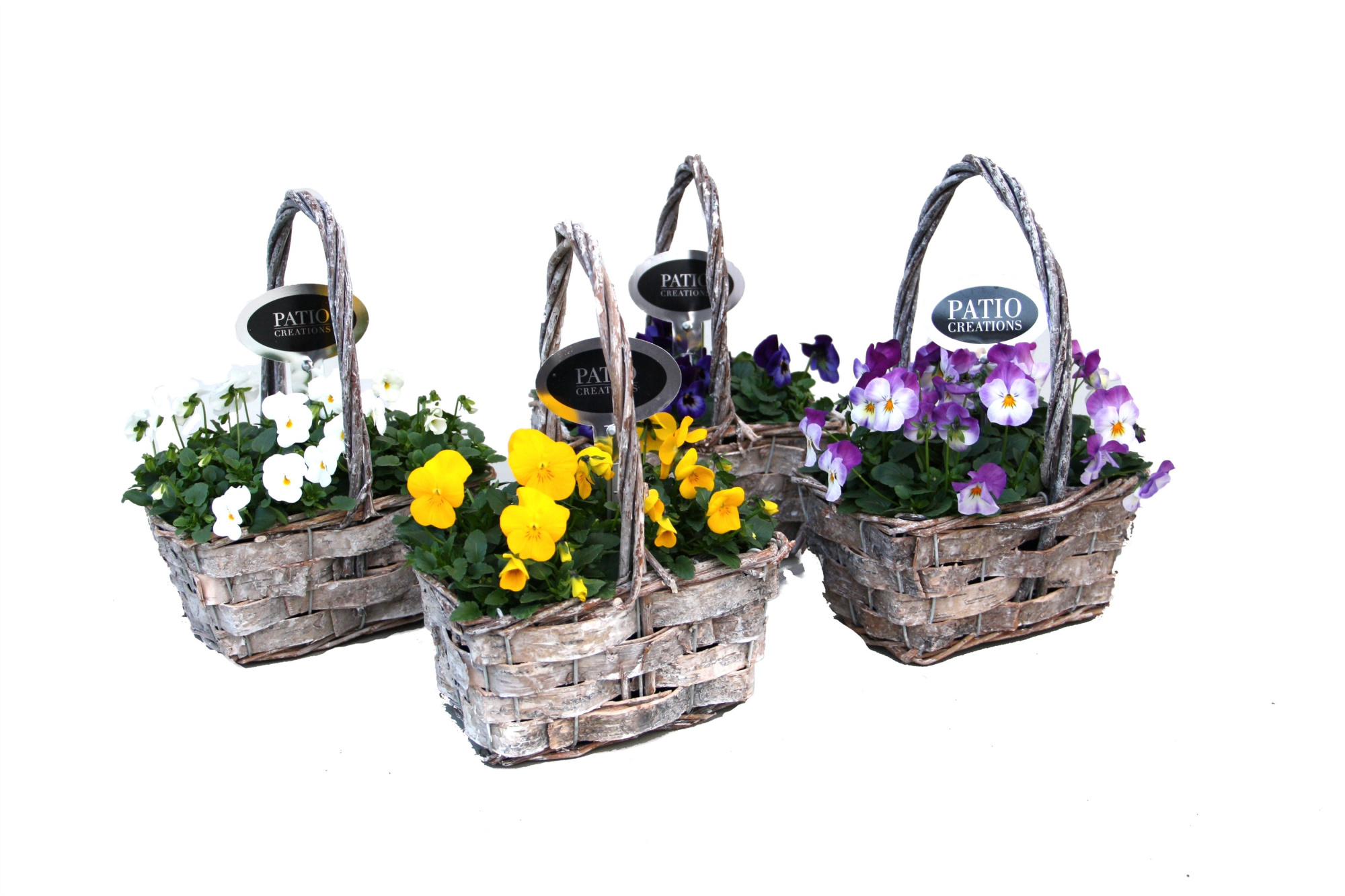 V437-9001 Viola hengselmand gevlochten, D 19