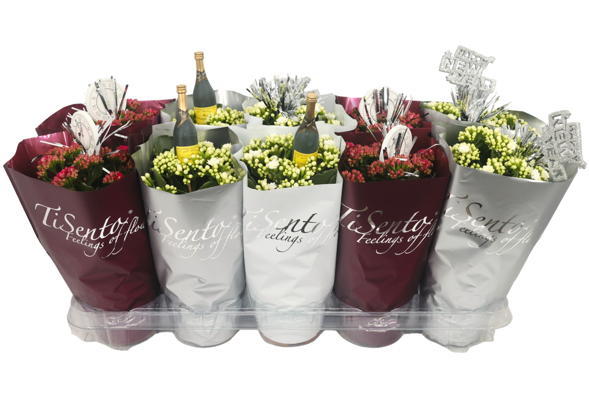 Calandiva 12 cmNew year's mix+ steker donker rood,wit,zilver, D 12