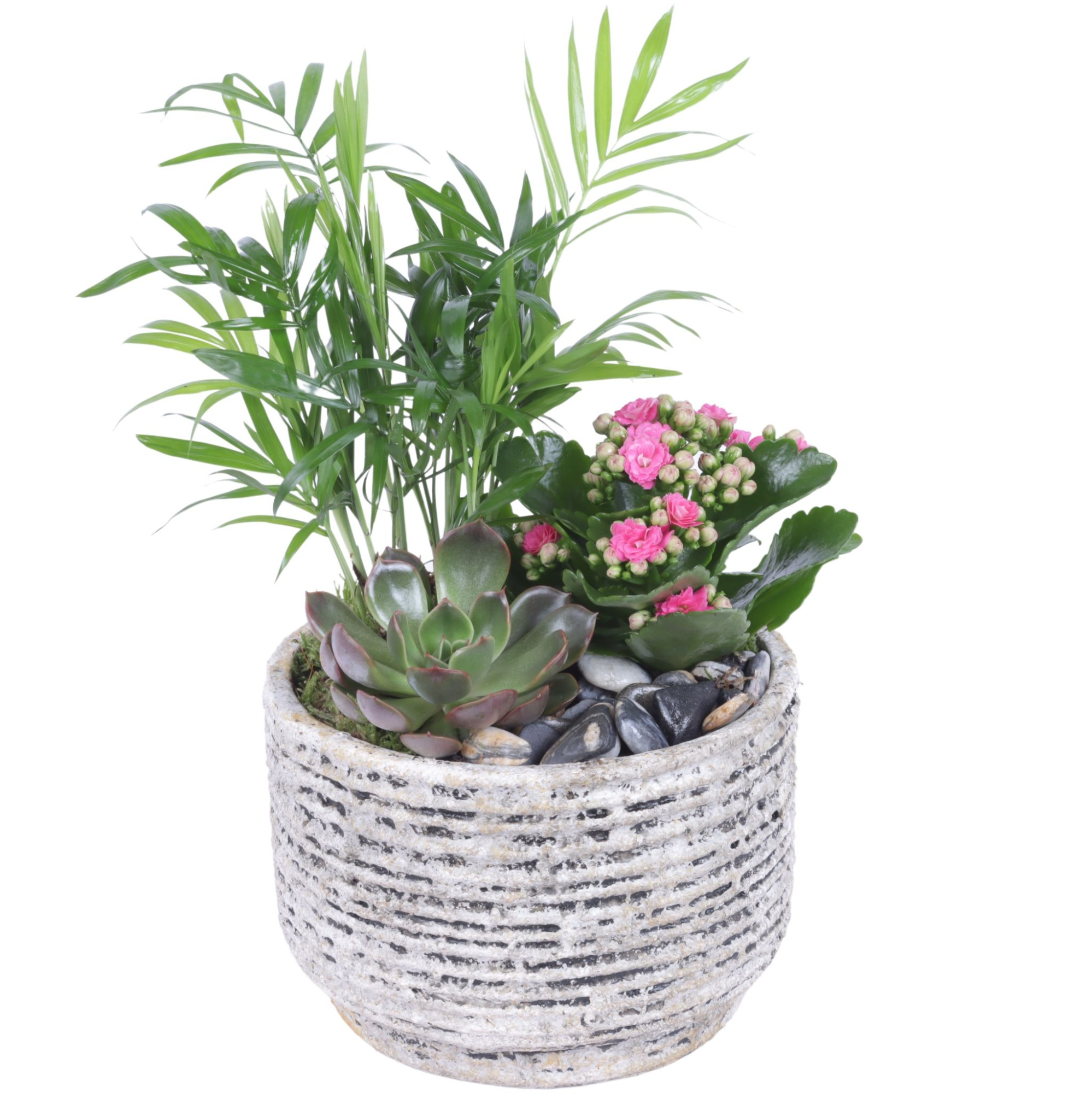 Yearround Arr. Indoor Ceramic Naturel Touch N567 Ø17cm 3PP, D 17 cm