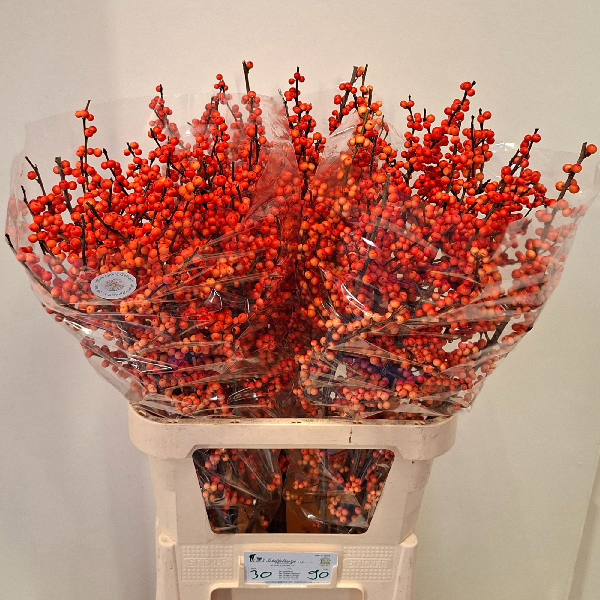 Илекс Аудайкс Оранж 90, шт.