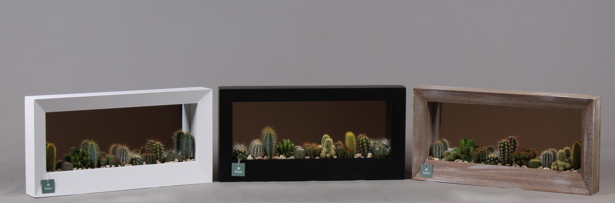 Schilderij hout met Cactussen, D 58 cm