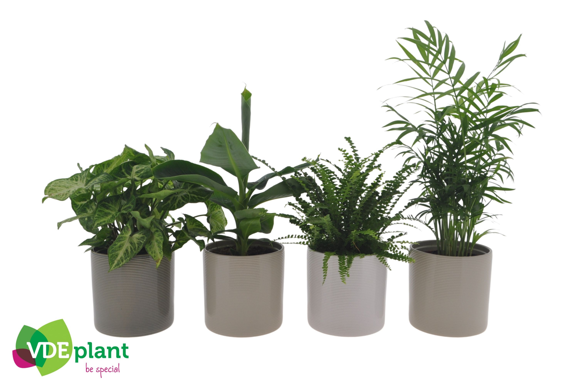 Fresh Green mix in Havana mix keramiek, D 12 cm