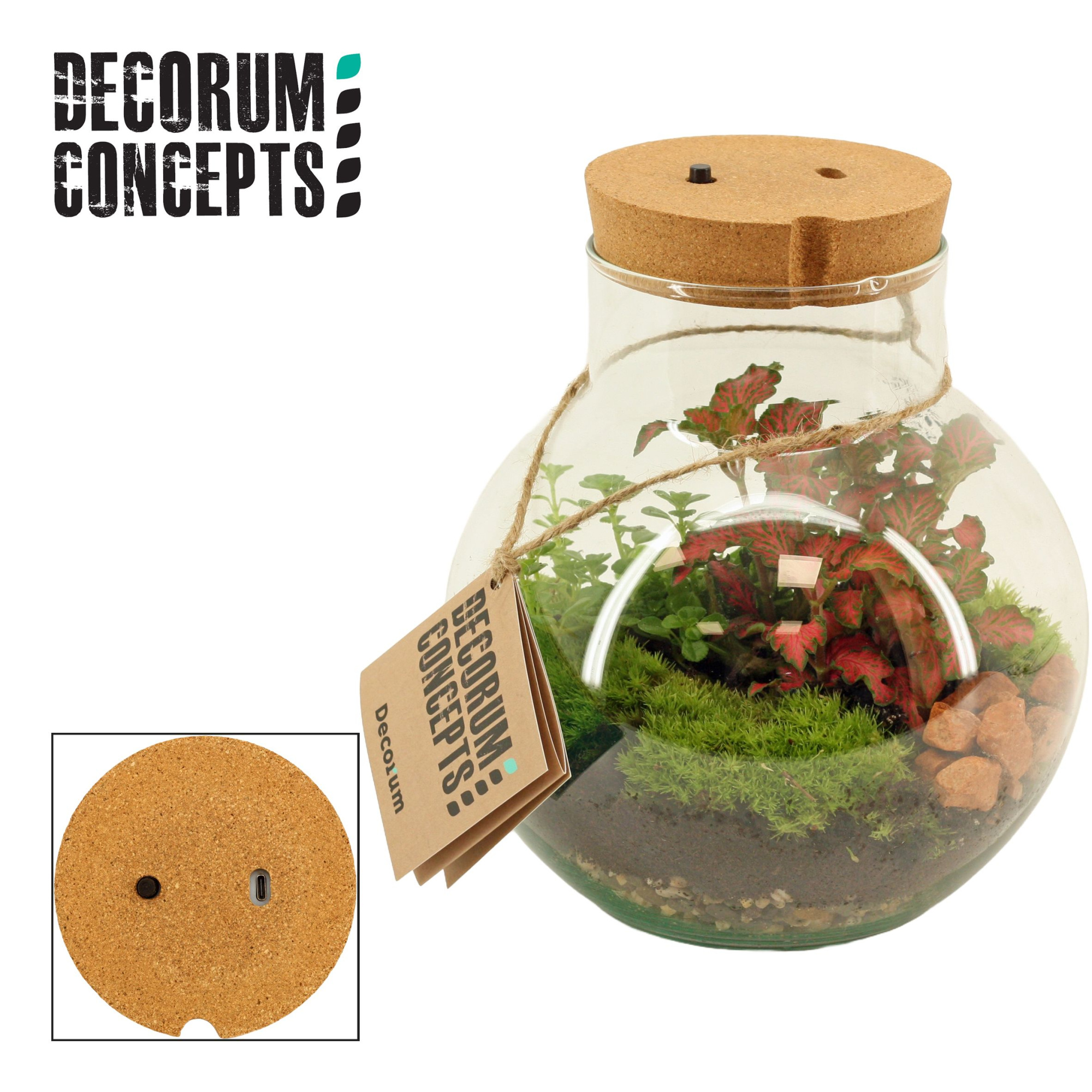 Terrarium Venus met oplaadbare led (Decorum concepts), D 19