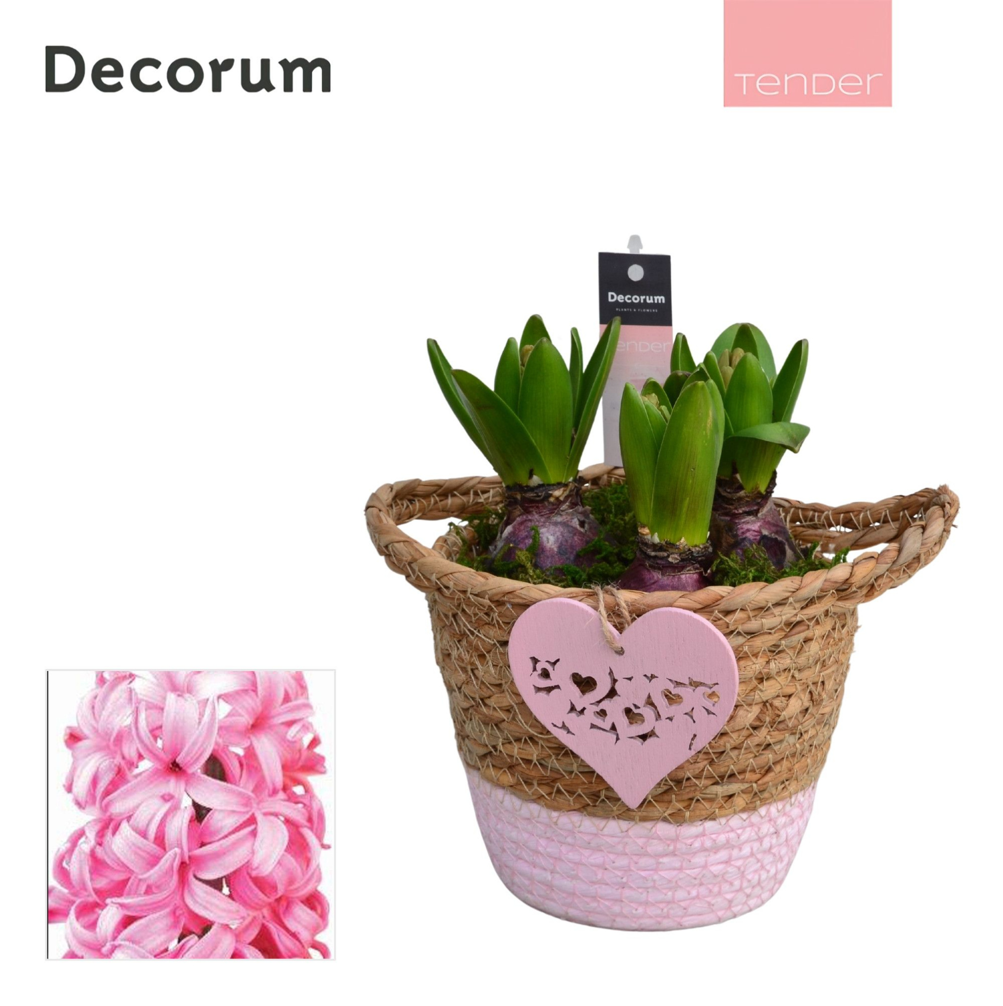 Hyacint Basket Colour HL14864PP [TENDER], D 13