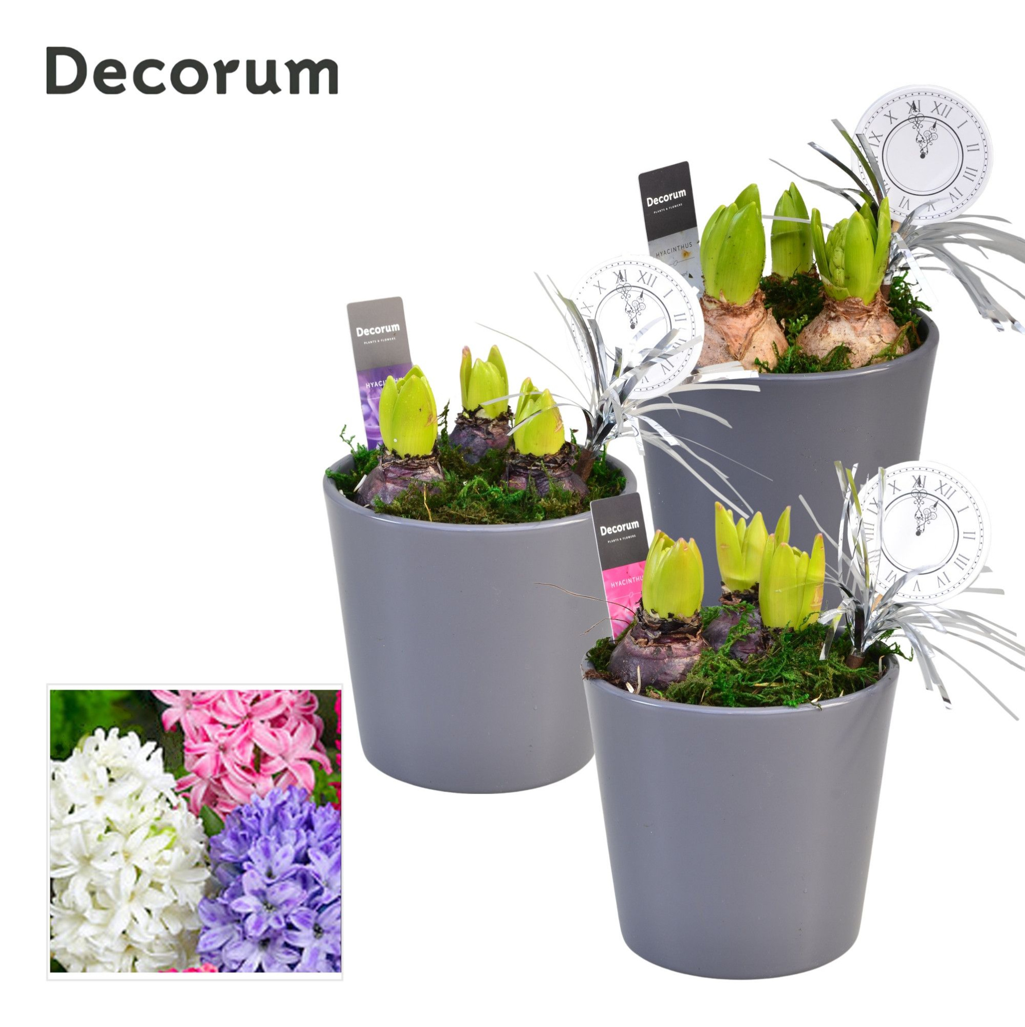 Hyacint Smooth Gray HL14912NY [NEW YEAR], D 13