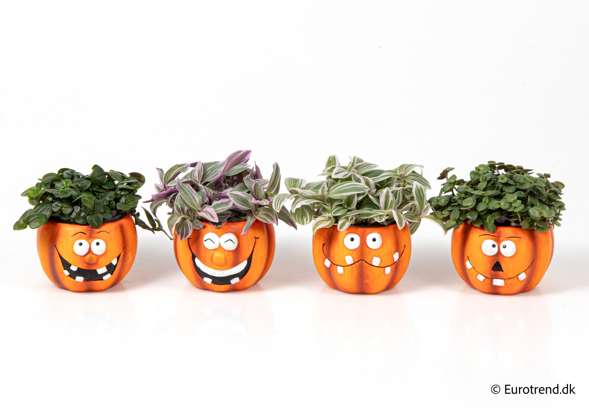 Green Mix in Halloween ceramic 2025, D 6 cm