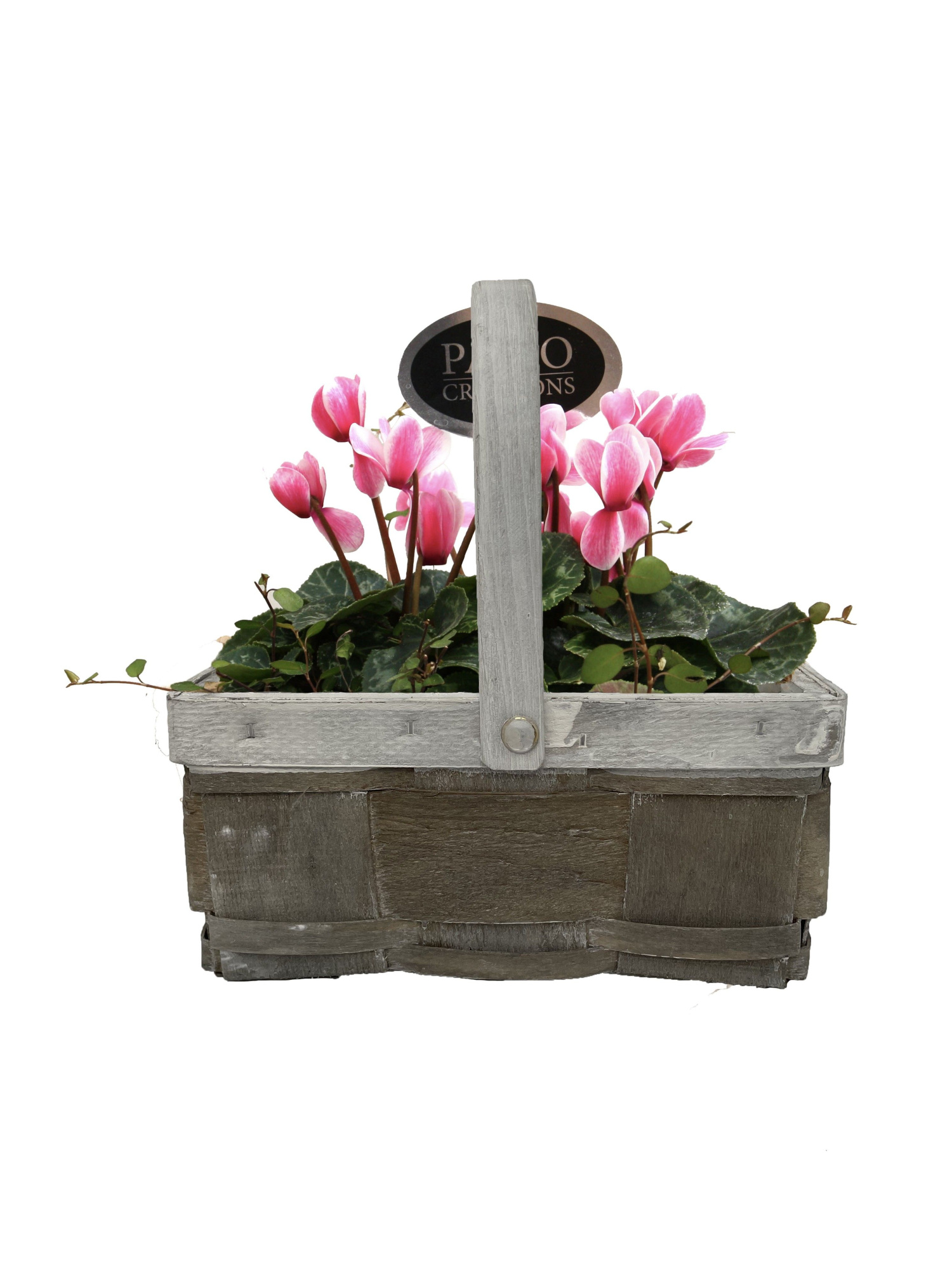 CYM826-9001 Cyclaam/Muehlenbeckia Fenna houten handvat S, D 21 cm