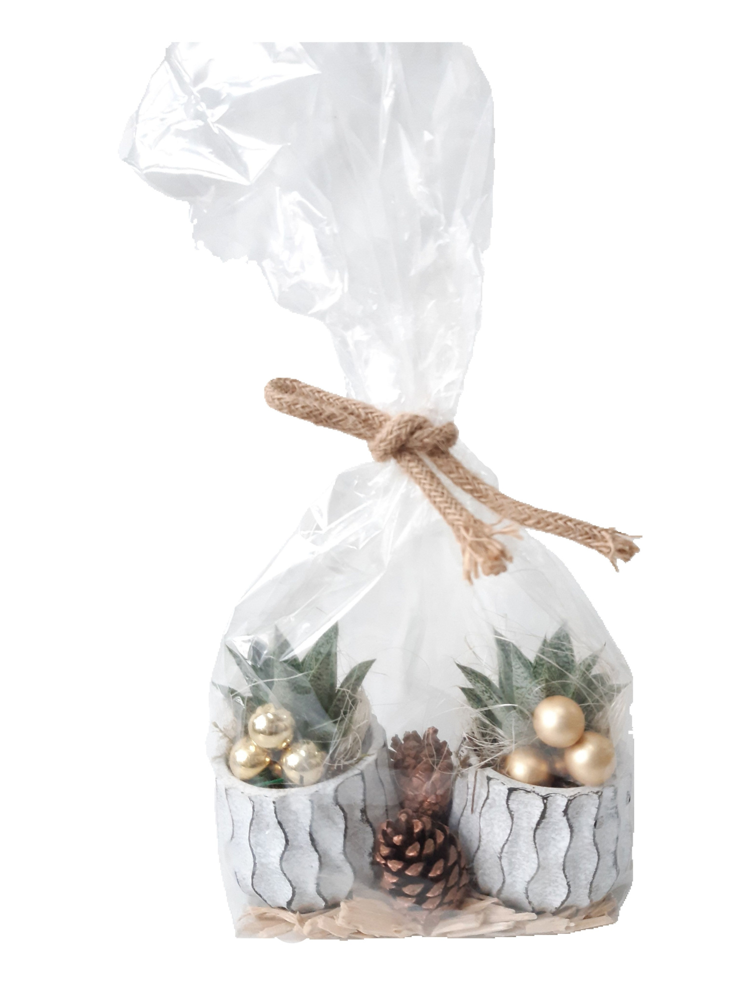 WP8KSTGP14 2x Wave Pot 8cm Giftpack Kerst, D 20 cm