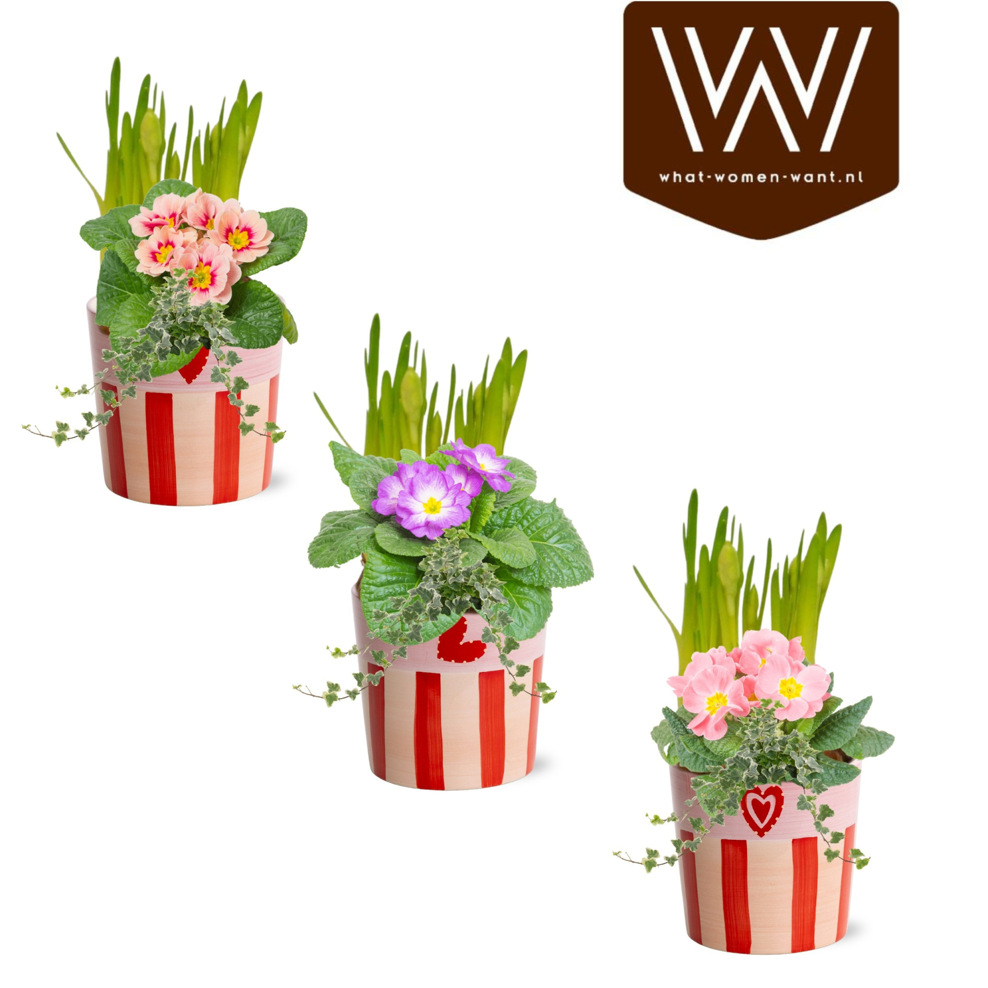 Collectie 'Sympathetic Moods' Arrangement in Keramiek Romee, D 12