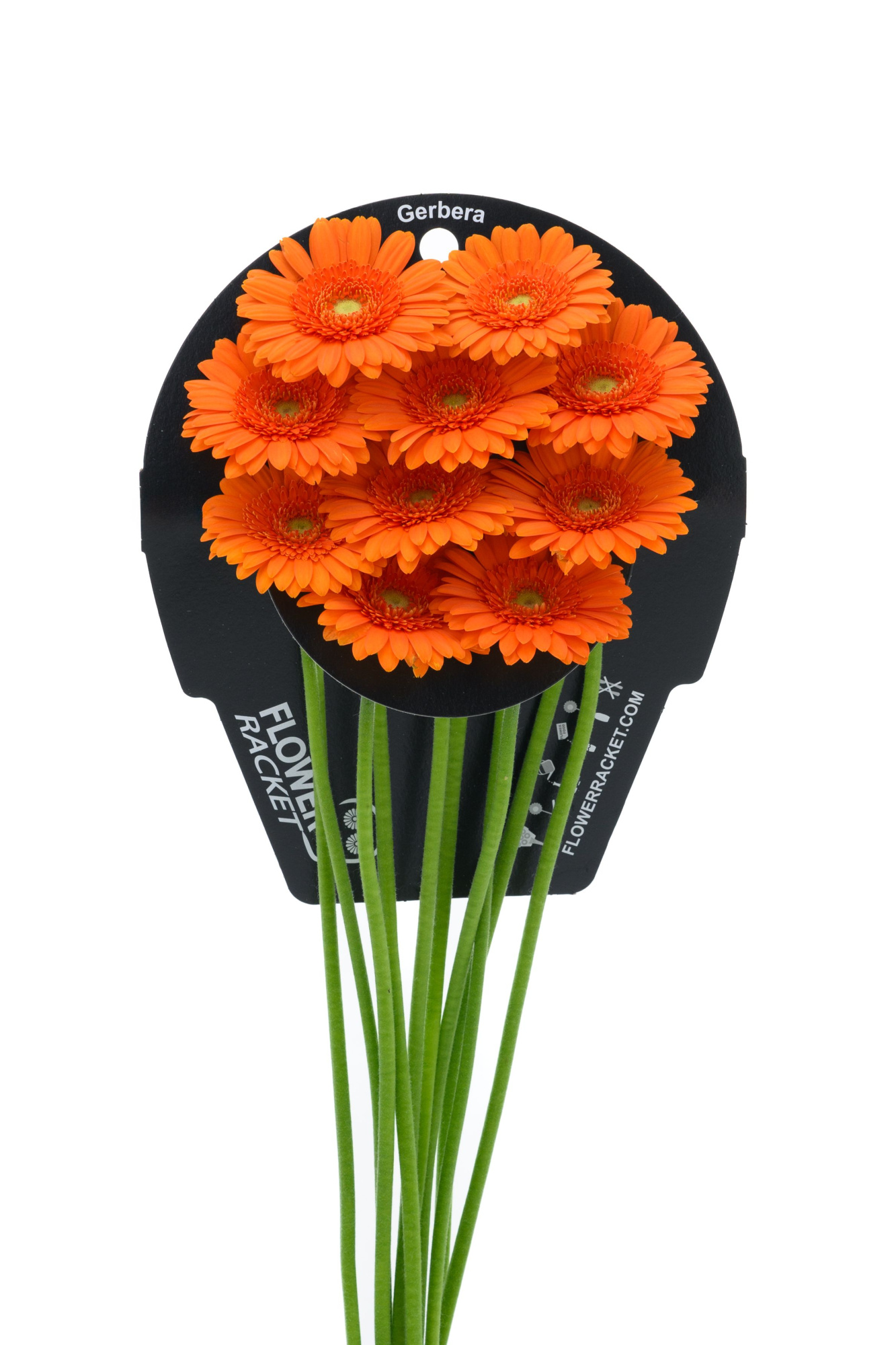 Гермини Макс, шт.