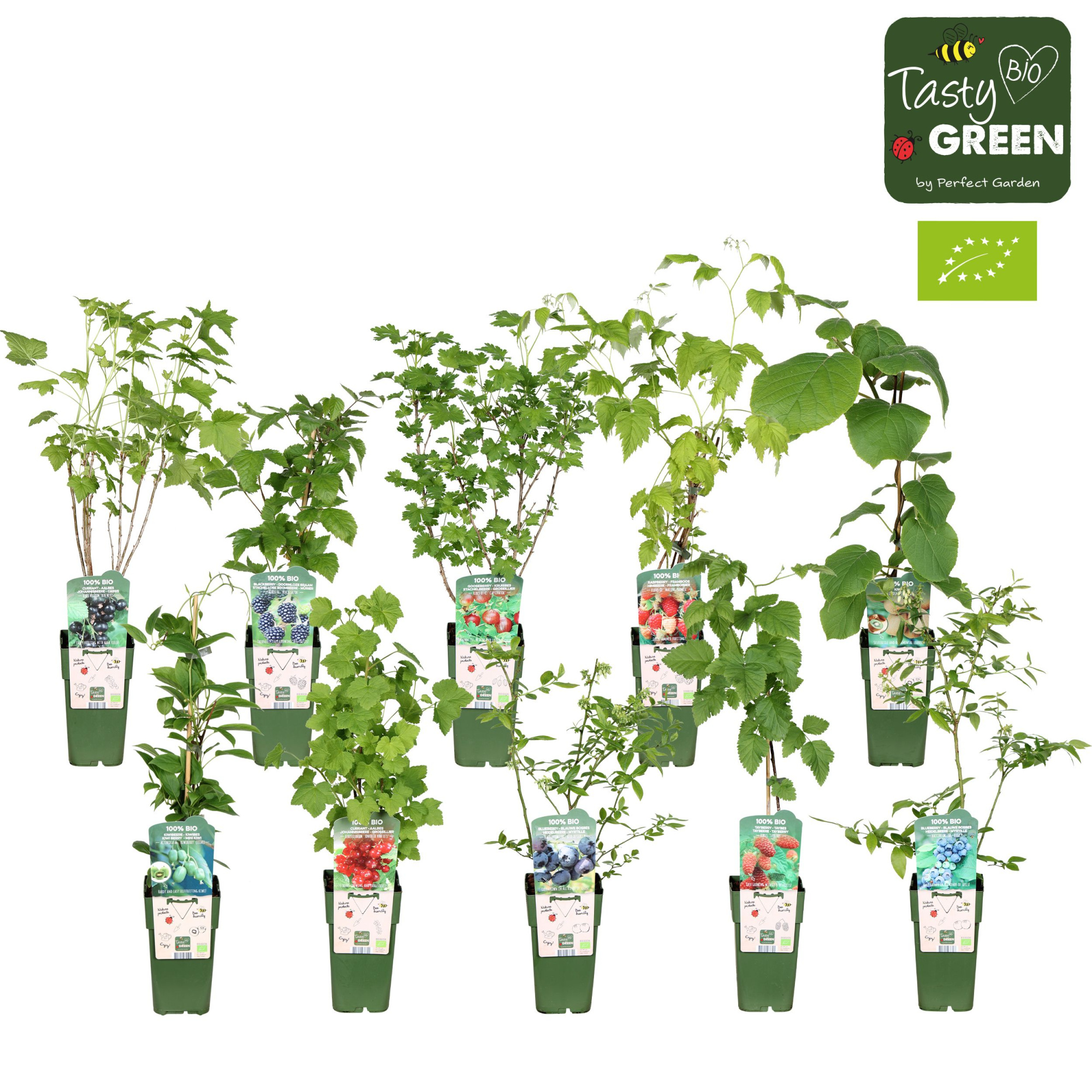 Fruit mix tray bio standaard P15, D 15 cm