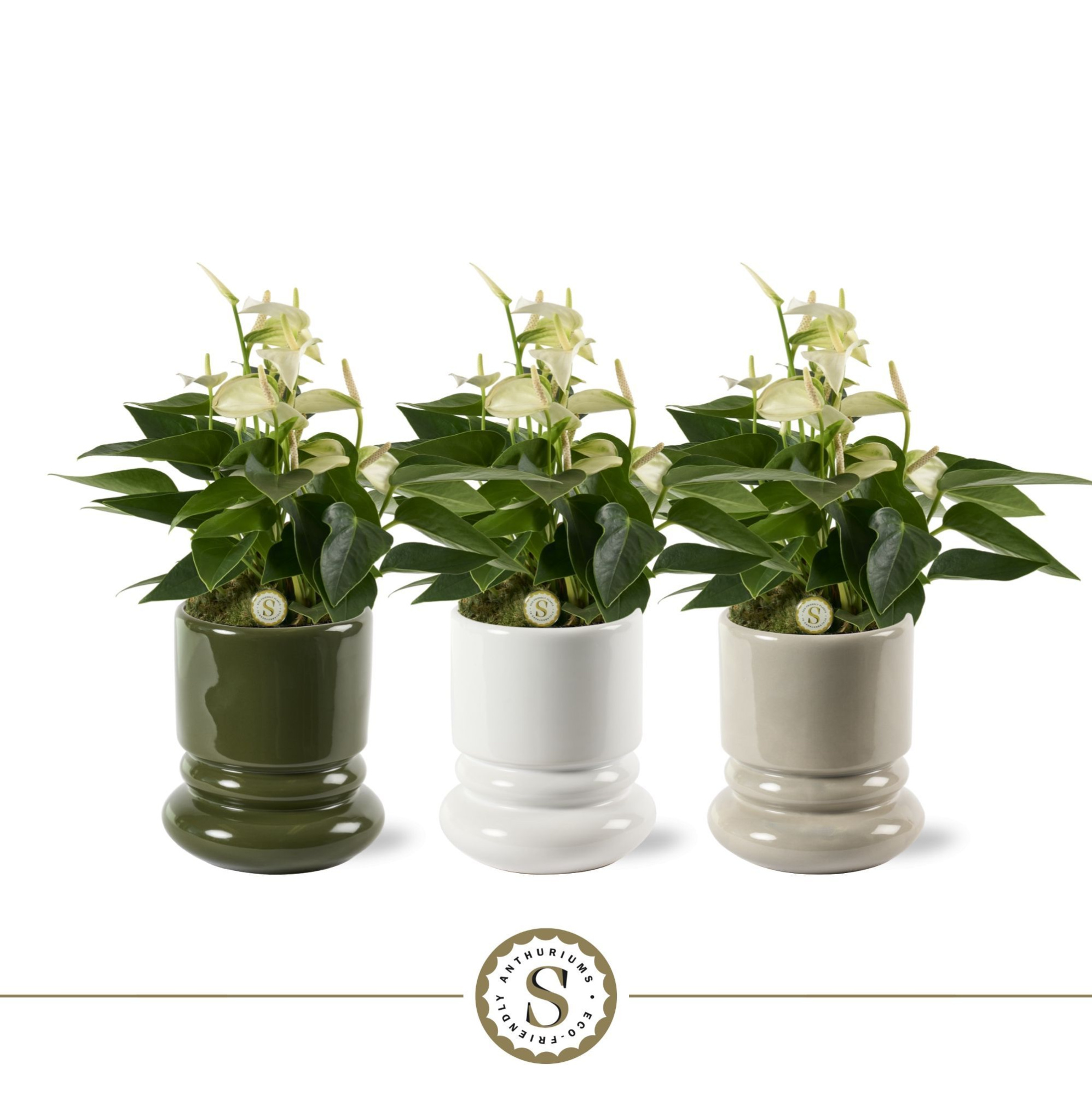 Geneve Keramiek White, D 12 cm