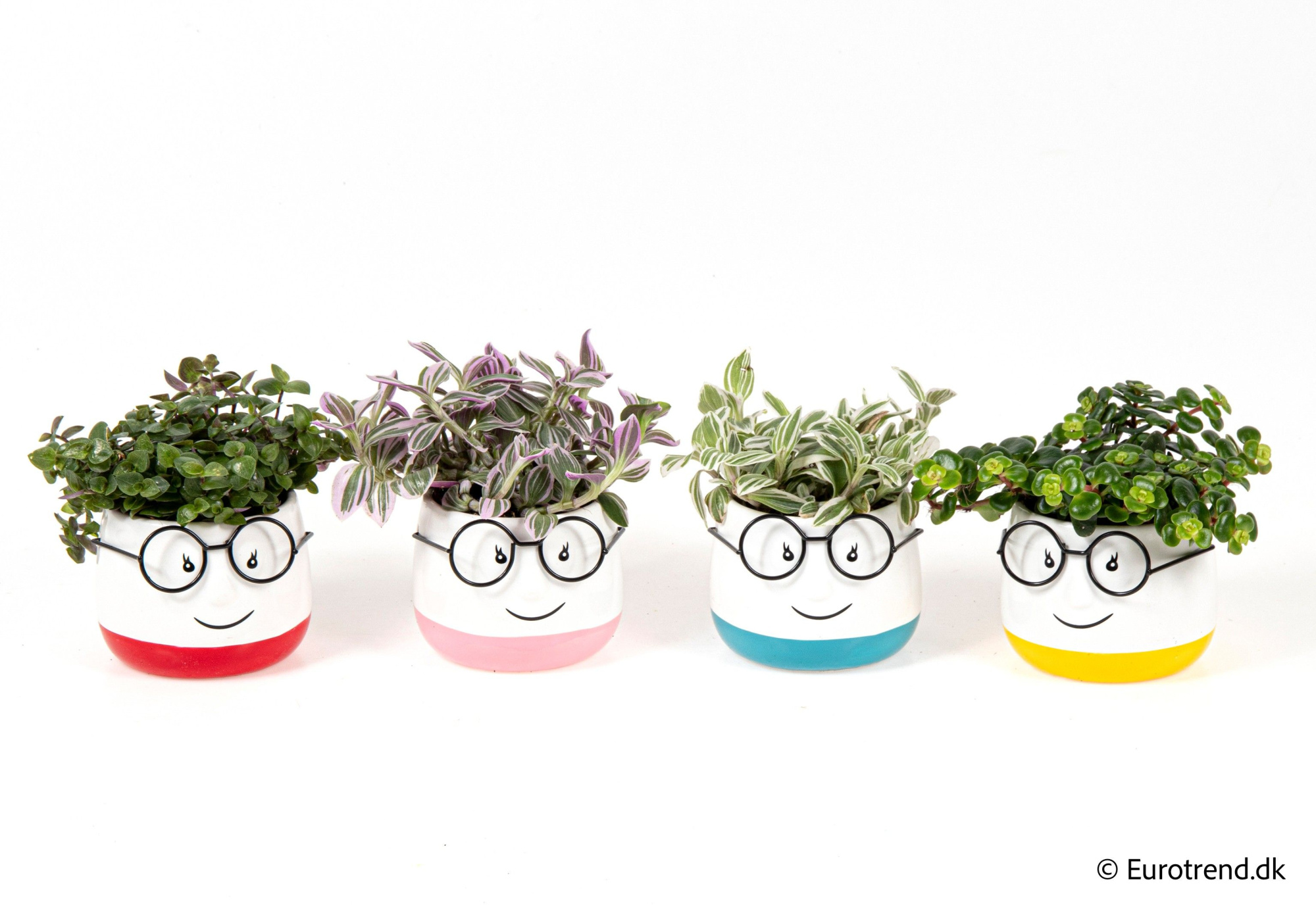 Green mix in ceramic with glasses - Spring, Summer & Autumn 2025, D 6 cm