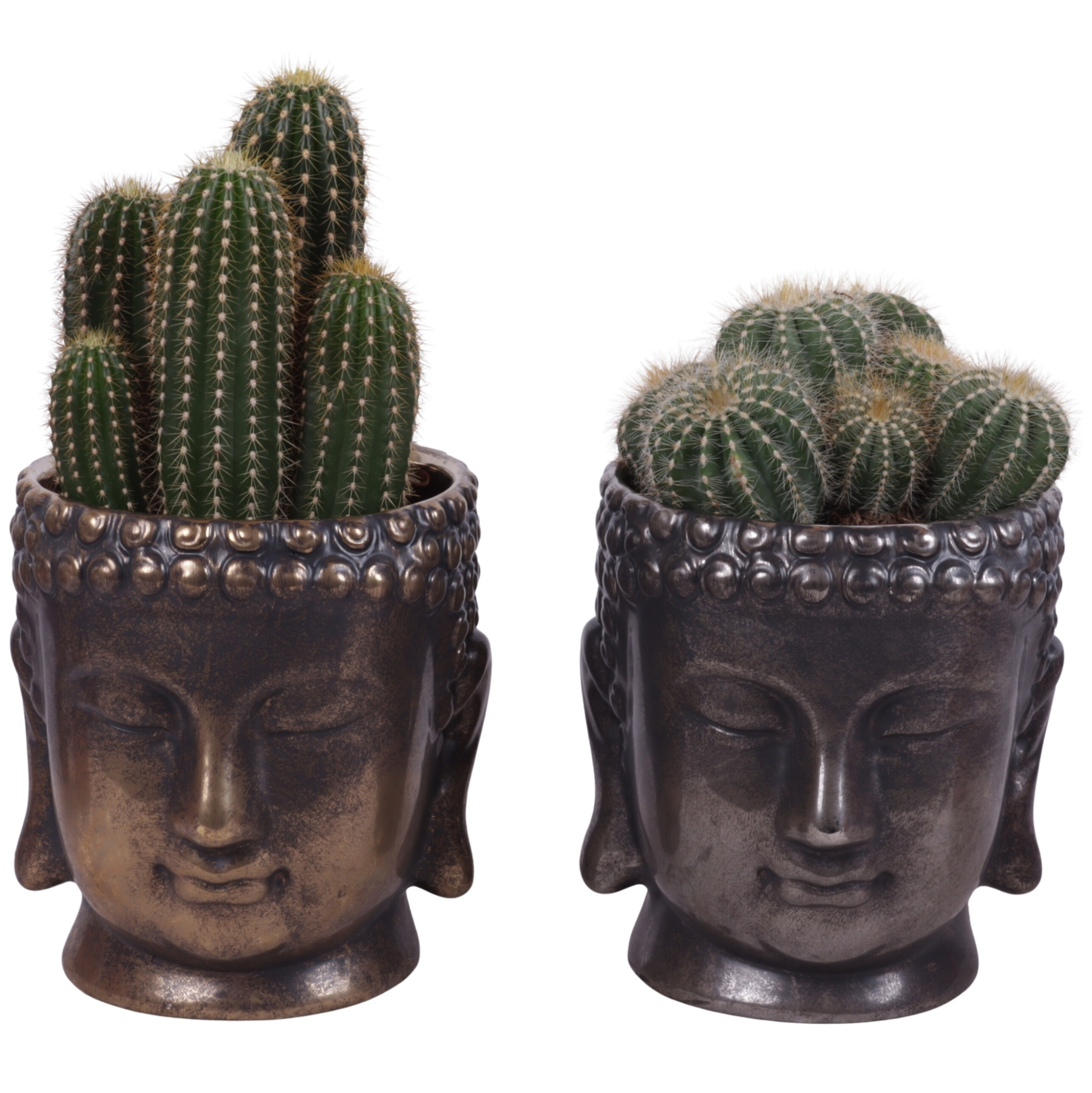 Cactus mix Ø12cm in Ceramic Buddha Gold/Silver Ø15cm, D 15