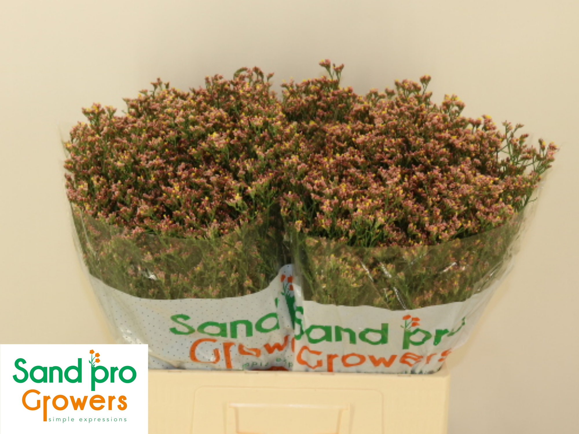 Лимониум Сенси Нектарин 60, шт.