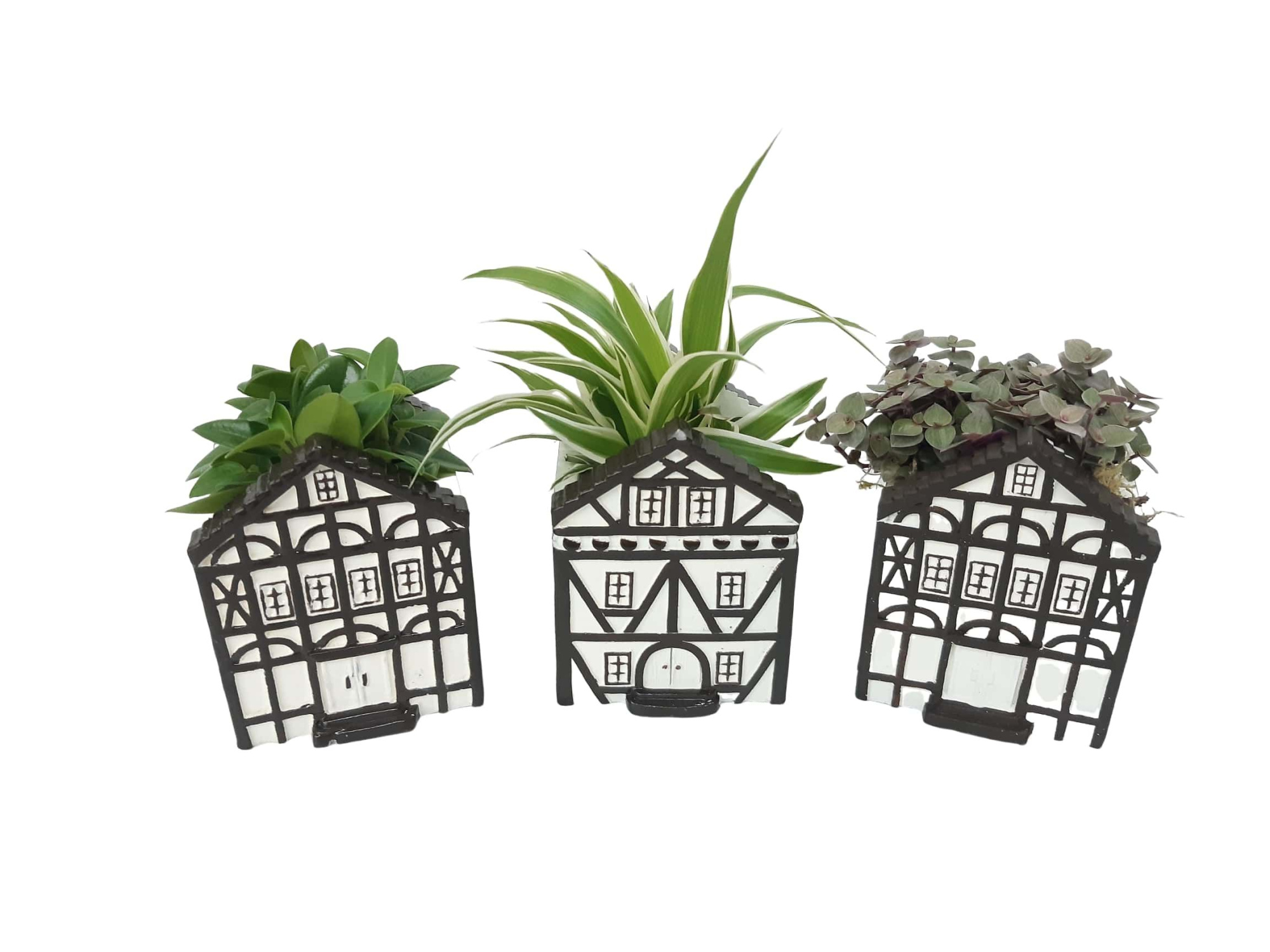 CASA D8 Casa Saxon Klein, D 8