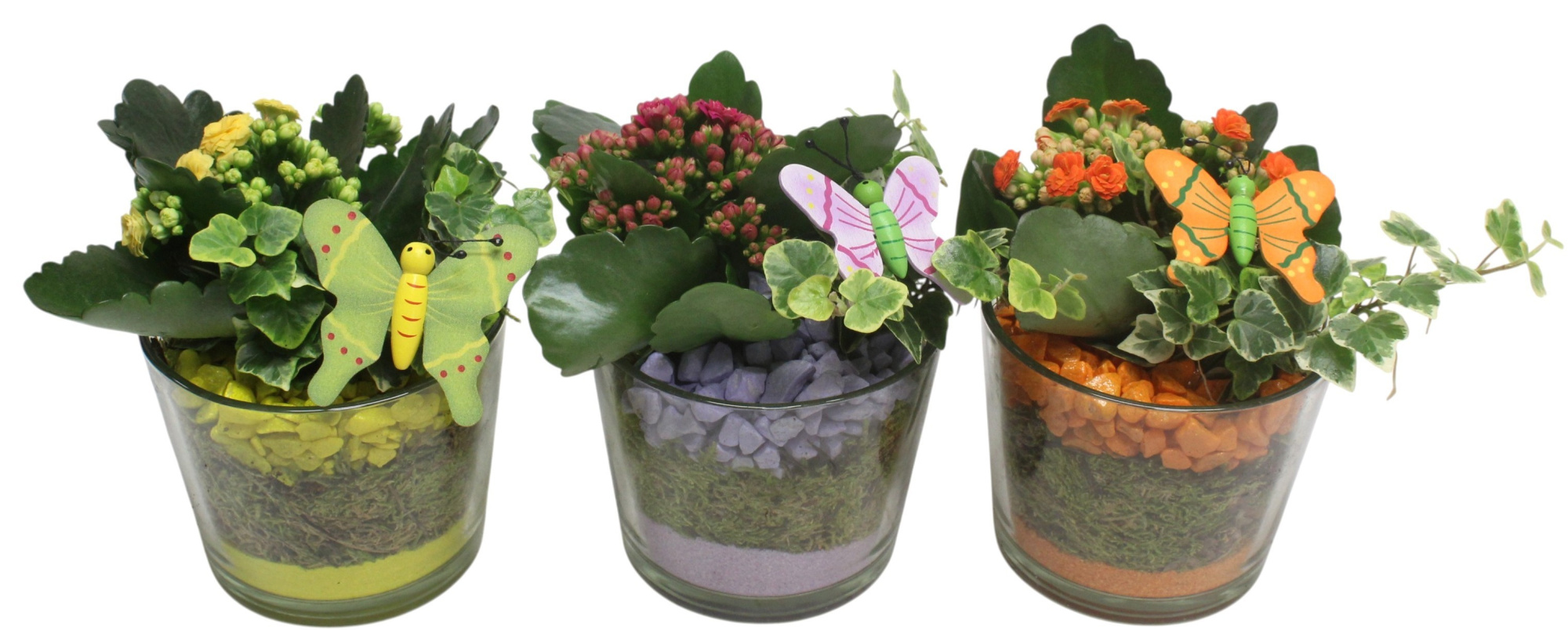 6A10.2 Glas Cilinder .10751, D 12