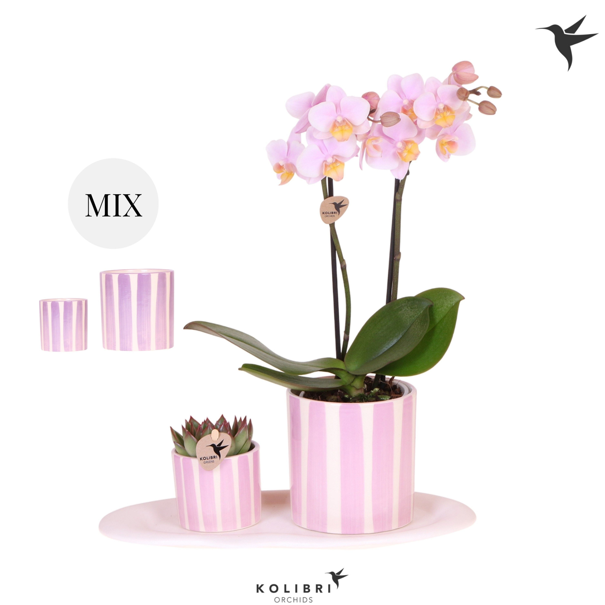 Kolibri Gift Set small Mediterranean pink purple mix, D 18 cm