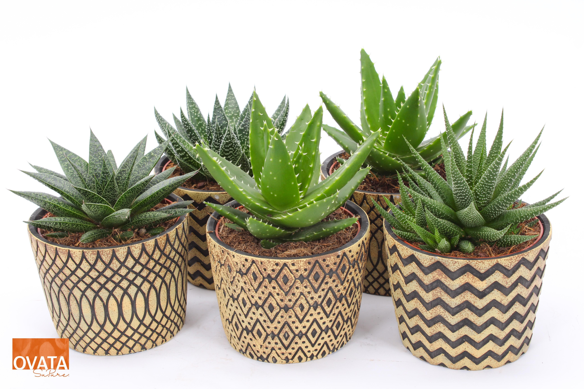 ROCKS mix in Cancun 14, D 14 cm