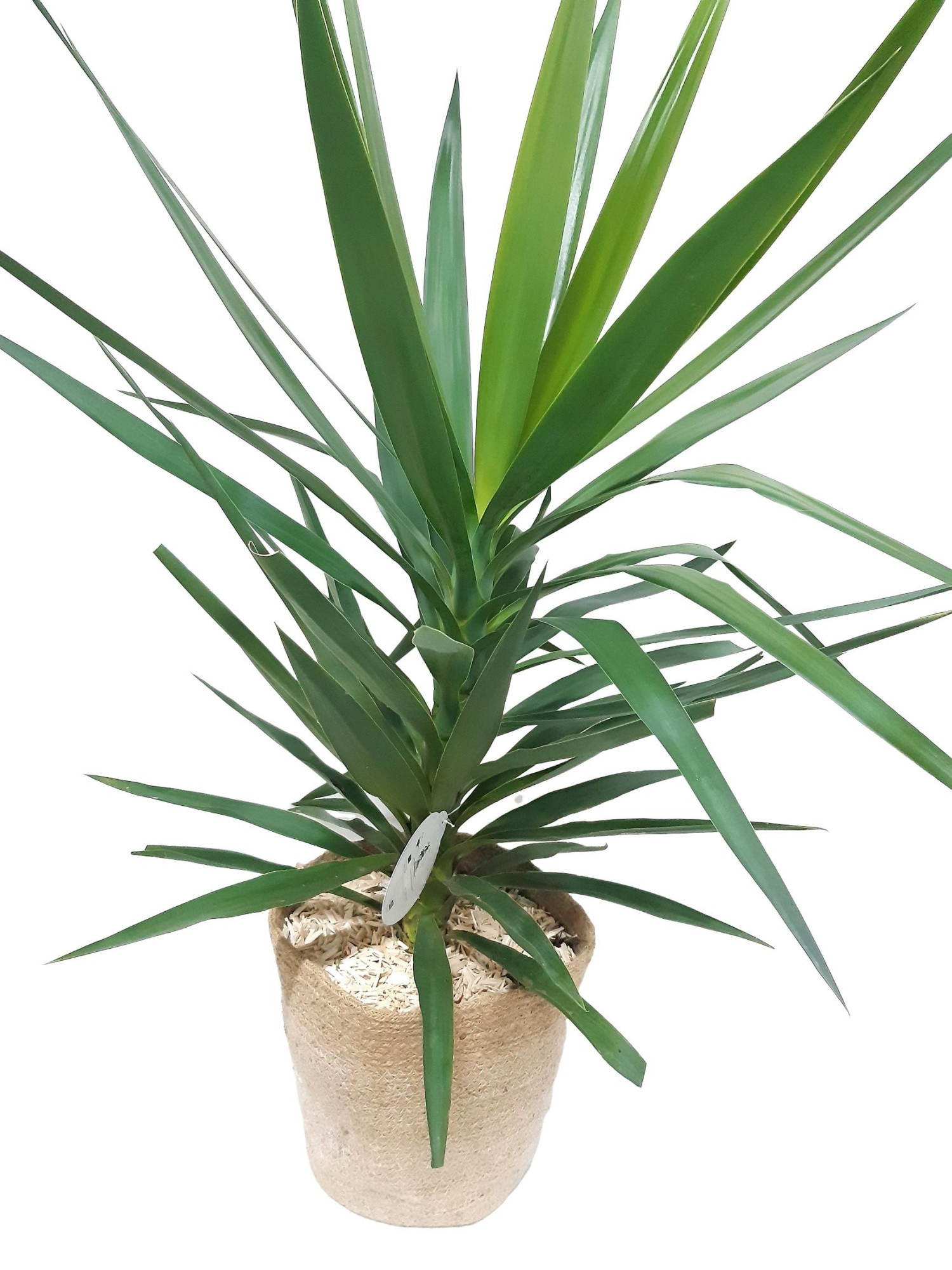 JM32YE jute Mand XL Yucca Elegance, D 32 cm