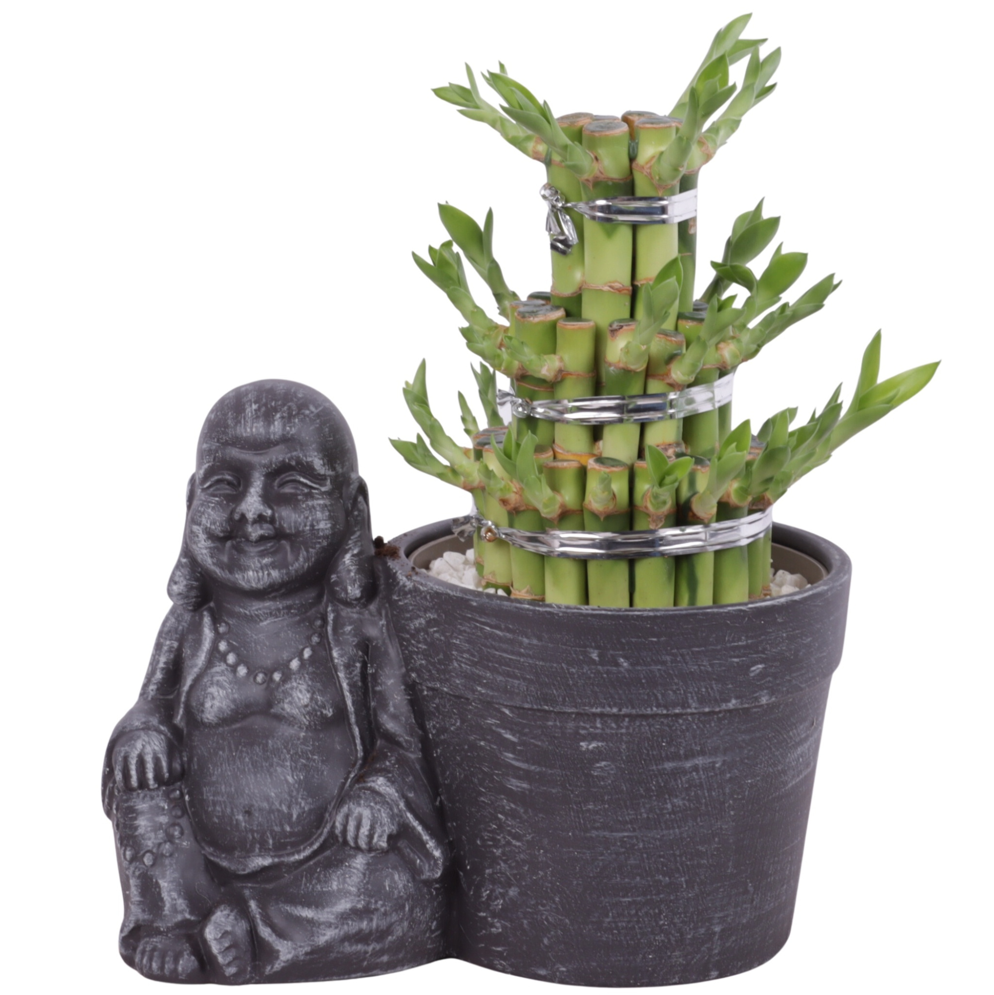 Lucky Bamboo Shape Round 3B in Ceramic Sitting Buddha Ø21cm, D 21