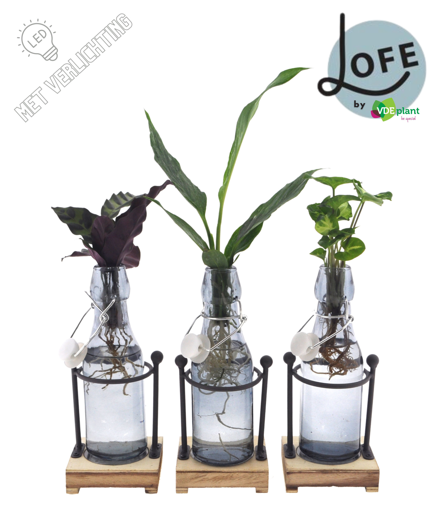 LOFE | Intenz mix in Ann getint glas + metalen houder + LED, D 7 cm