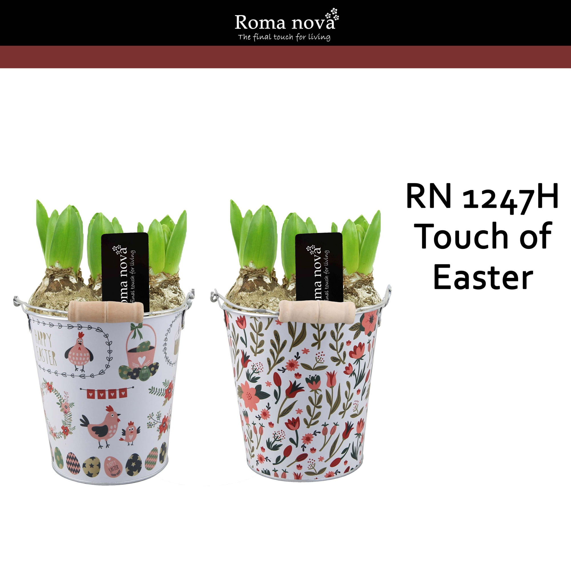 1247H - Touch of Easter (Hyacint), D 14
