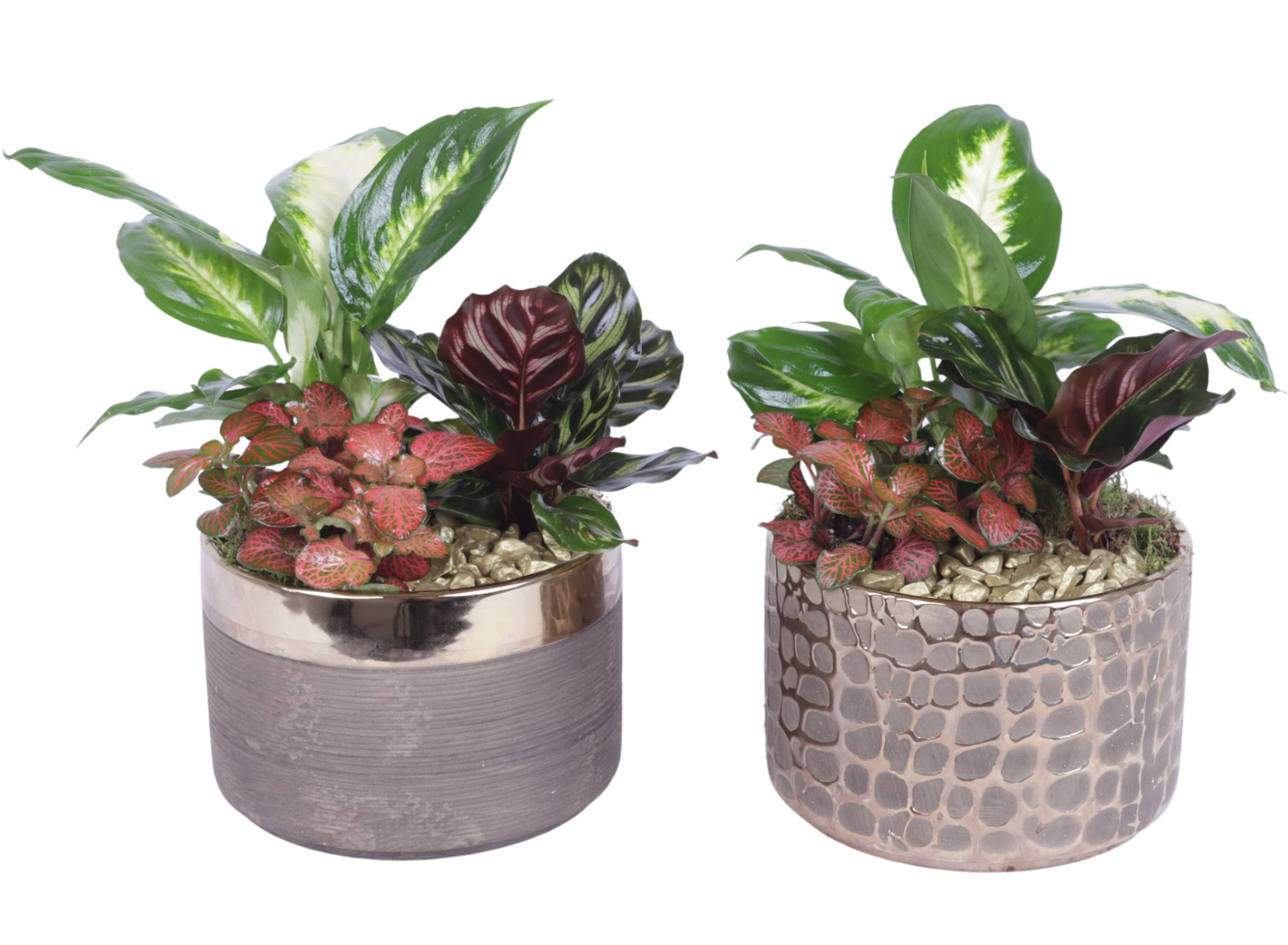 Yearround Arr. Indoor Ceramic Pure Luxury N568 Ø17cm 3PP, D 17 cm