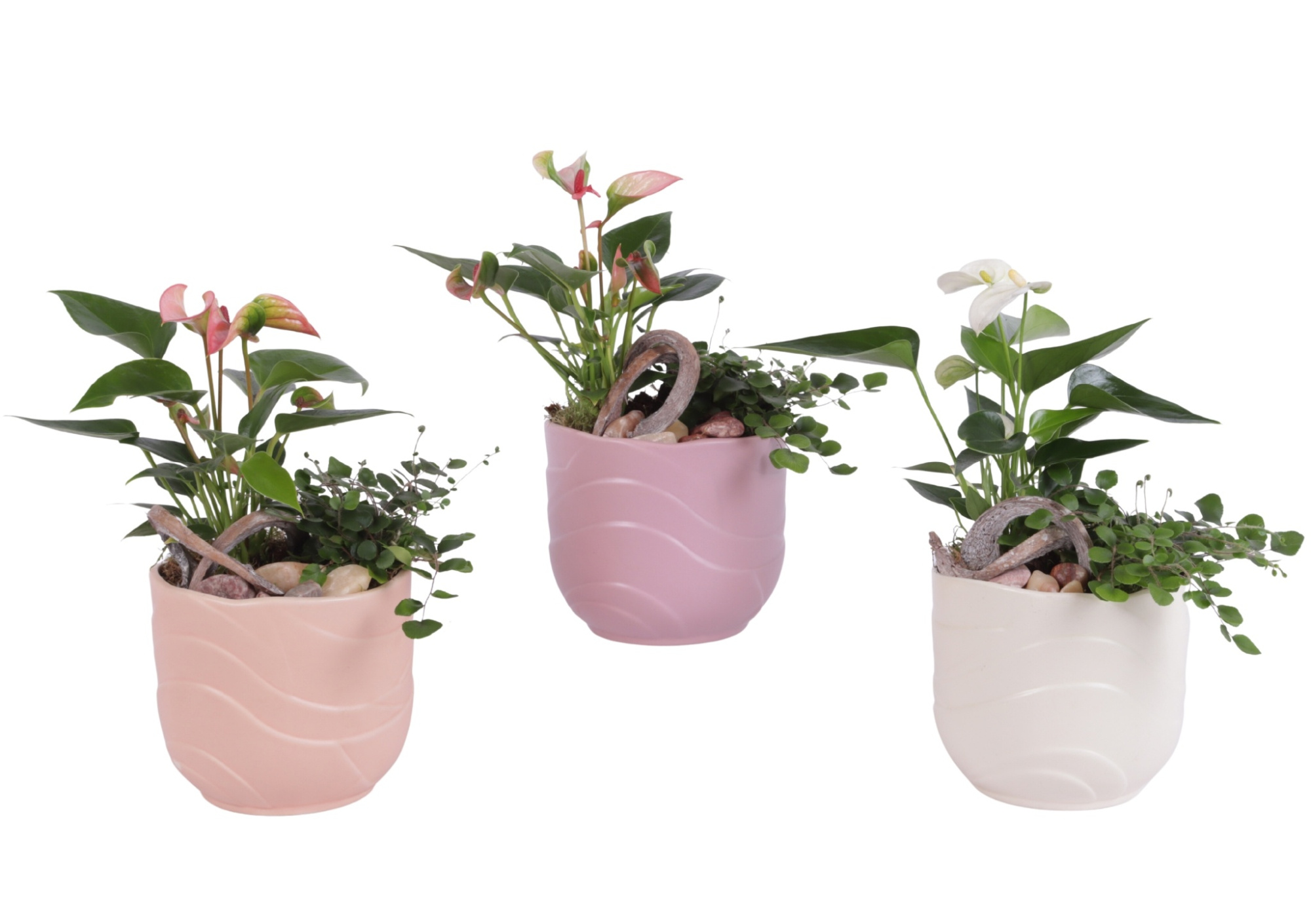 Yearround Arr. Indoor Ceramic Soft Elegance SE660 Ø14cm 2PP, D 14