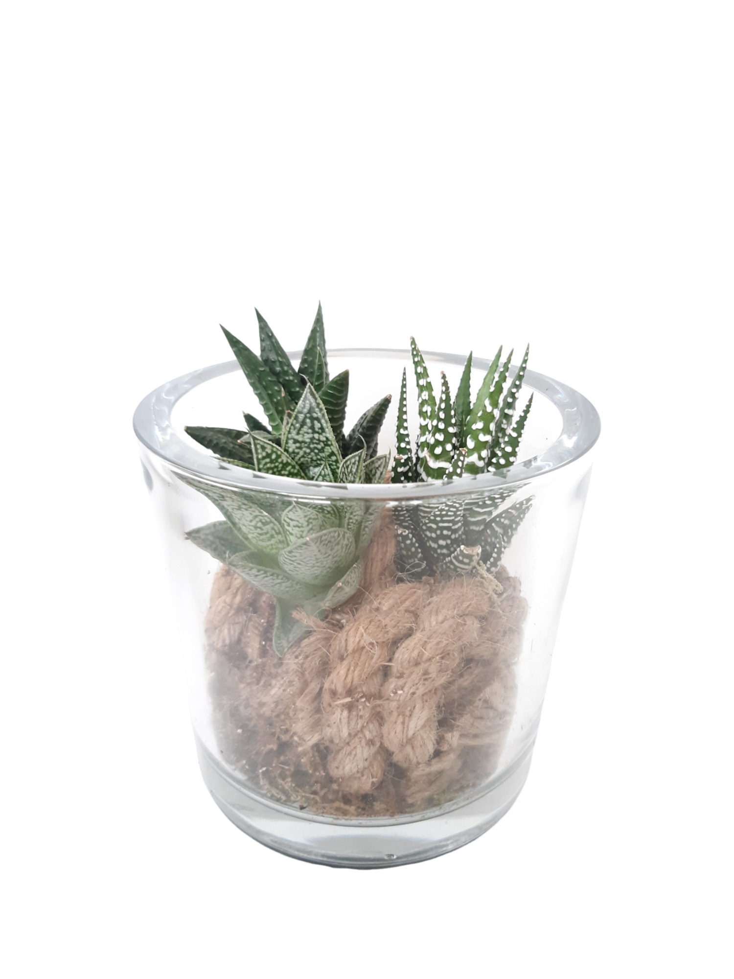 GCI12HAW Cil.glas + jutetouw, mini haw.mix, D 12 cm