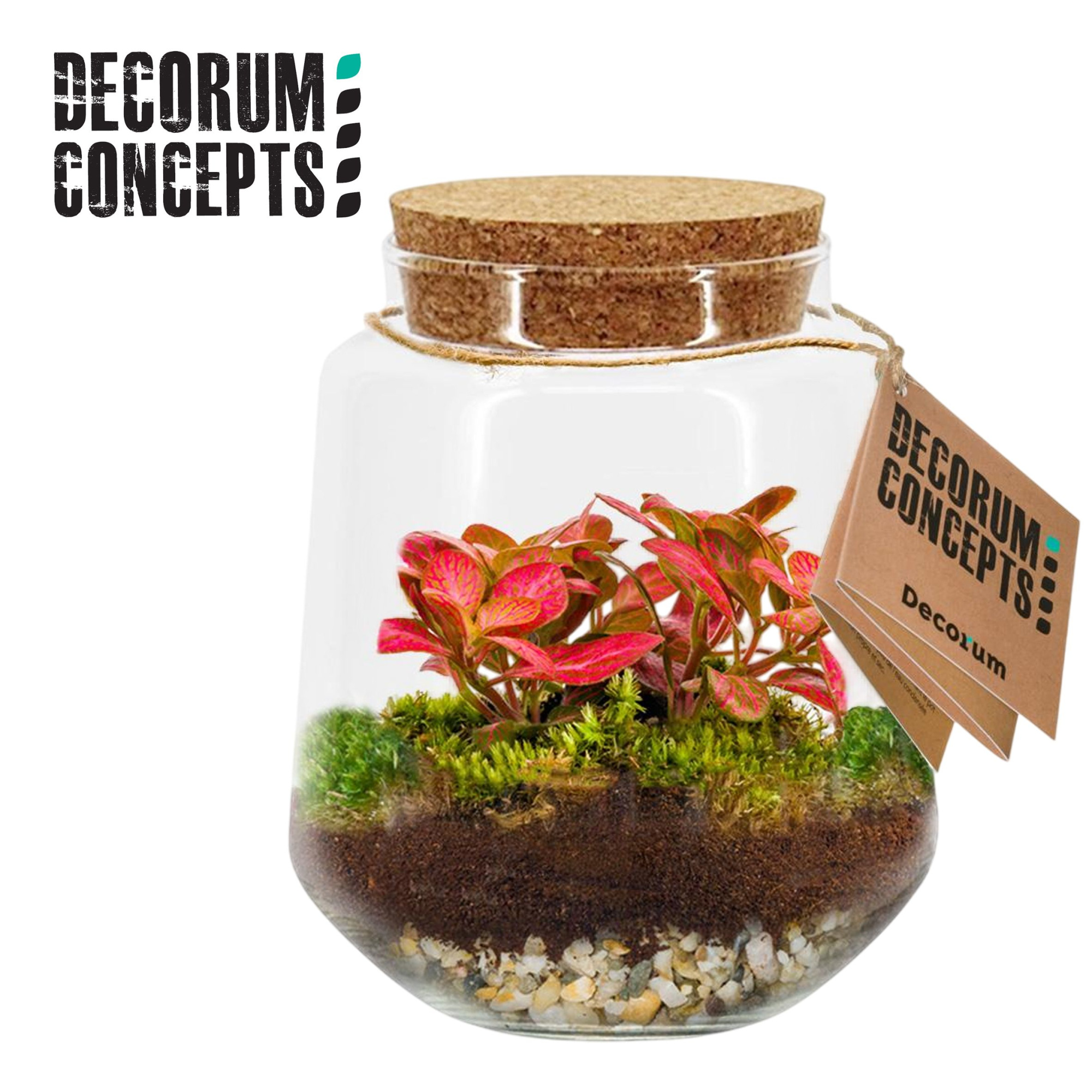 Terrarium Mercurius Medium (Decorum concepts), D 16