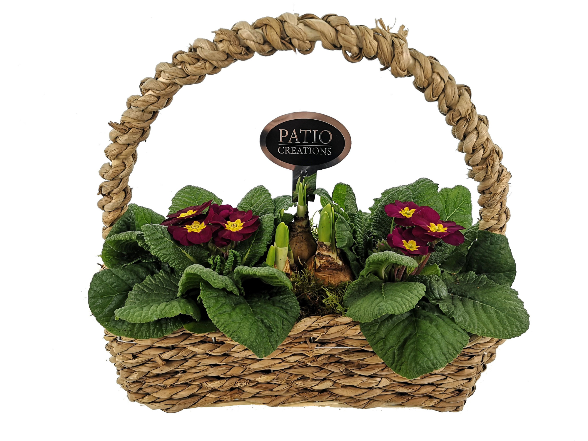 PRN663-9003 Primula/Narcis hengselmand zeegras M, D 33