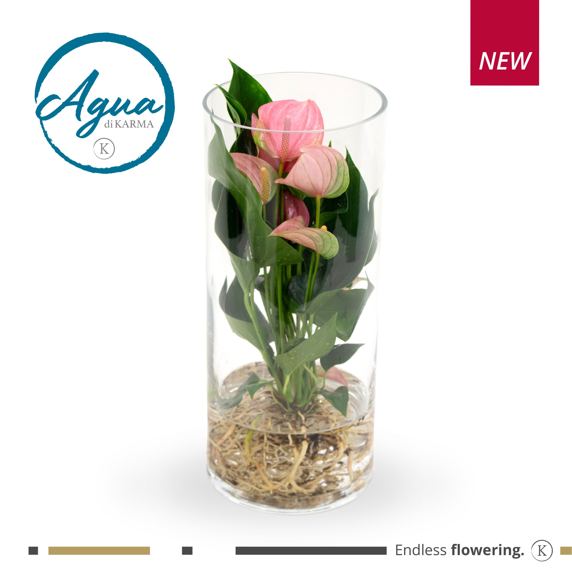 Mimesis Anthurium KARMA Pink - Aqua di Karma Cilinder, D 12 cm