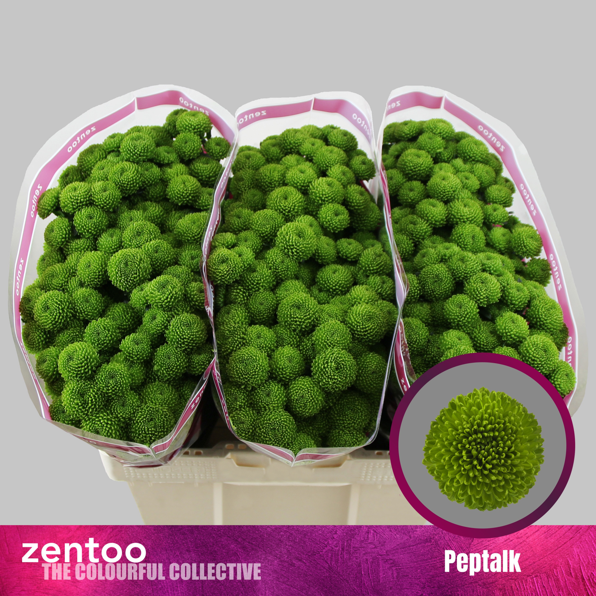 Сантини Пепток, шт.