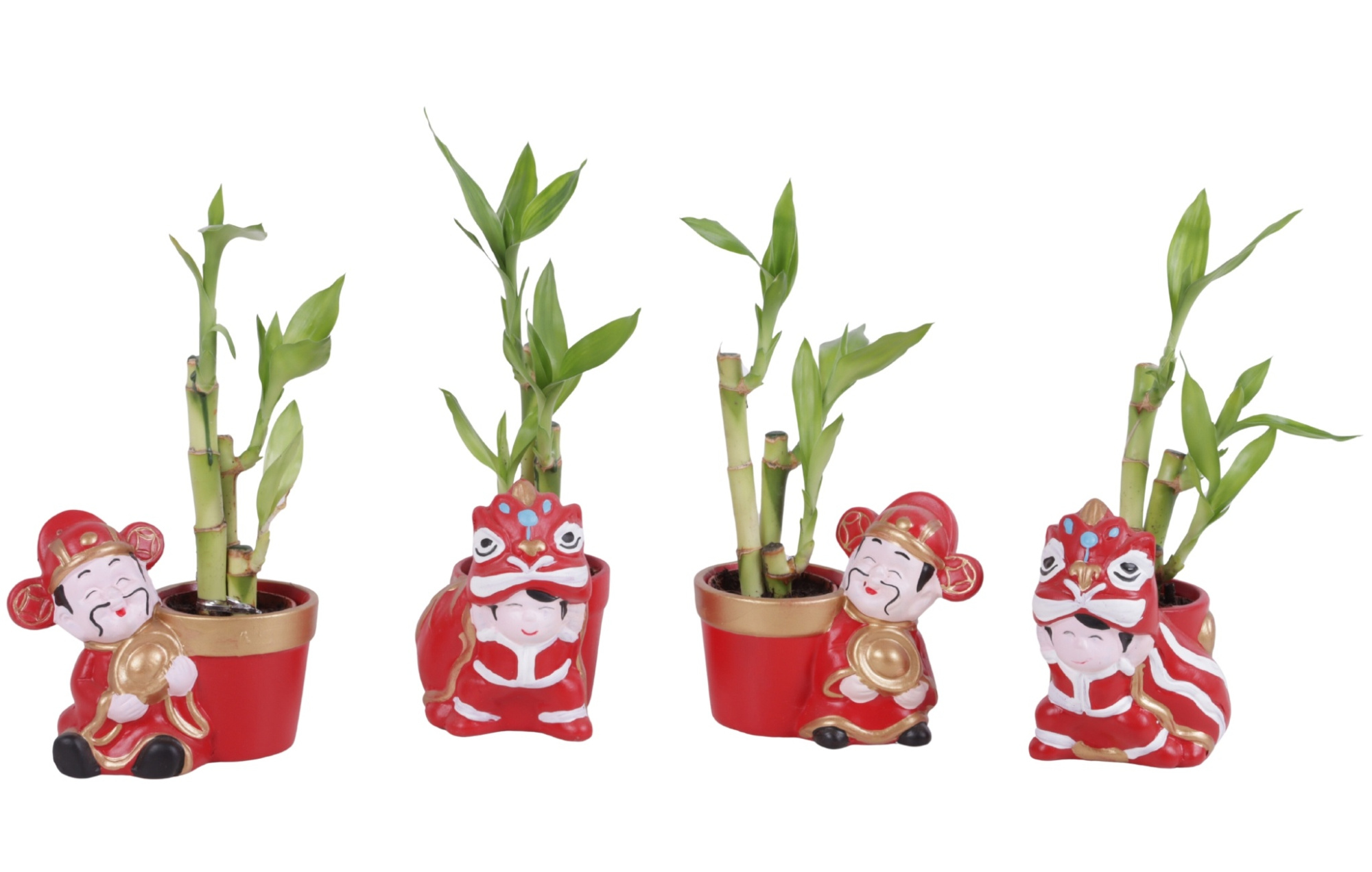 Lucky Bamboo Toef in Ceramic Chongqing Ø11cm, D 11