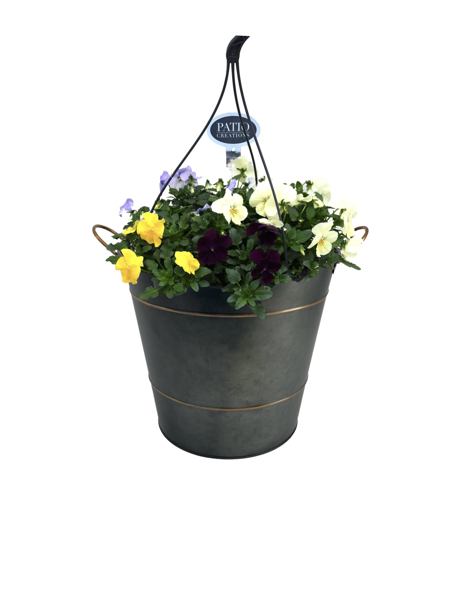 V842-9227 Viola Sterre zink emmer, D 28