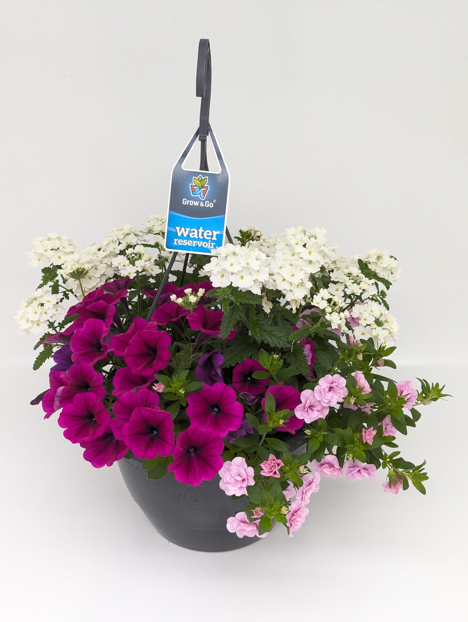 Gattungsmix / Beetpflanzen Mix Trio - CONFETTI WSP Ampel T27, D 27