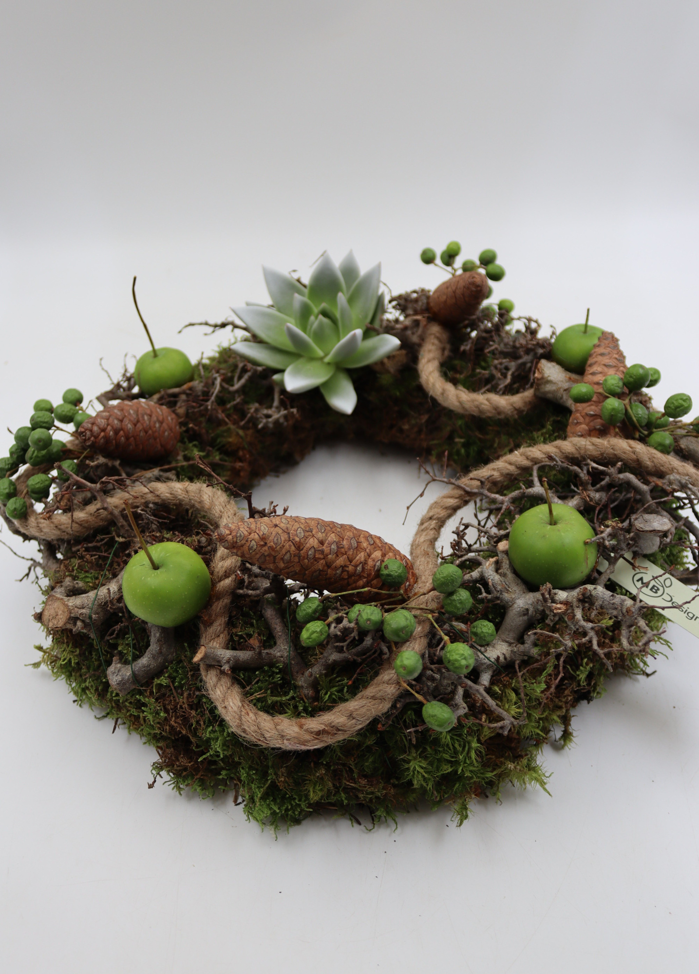 Moskrans/bonsai/Echeveria, D 35 cm