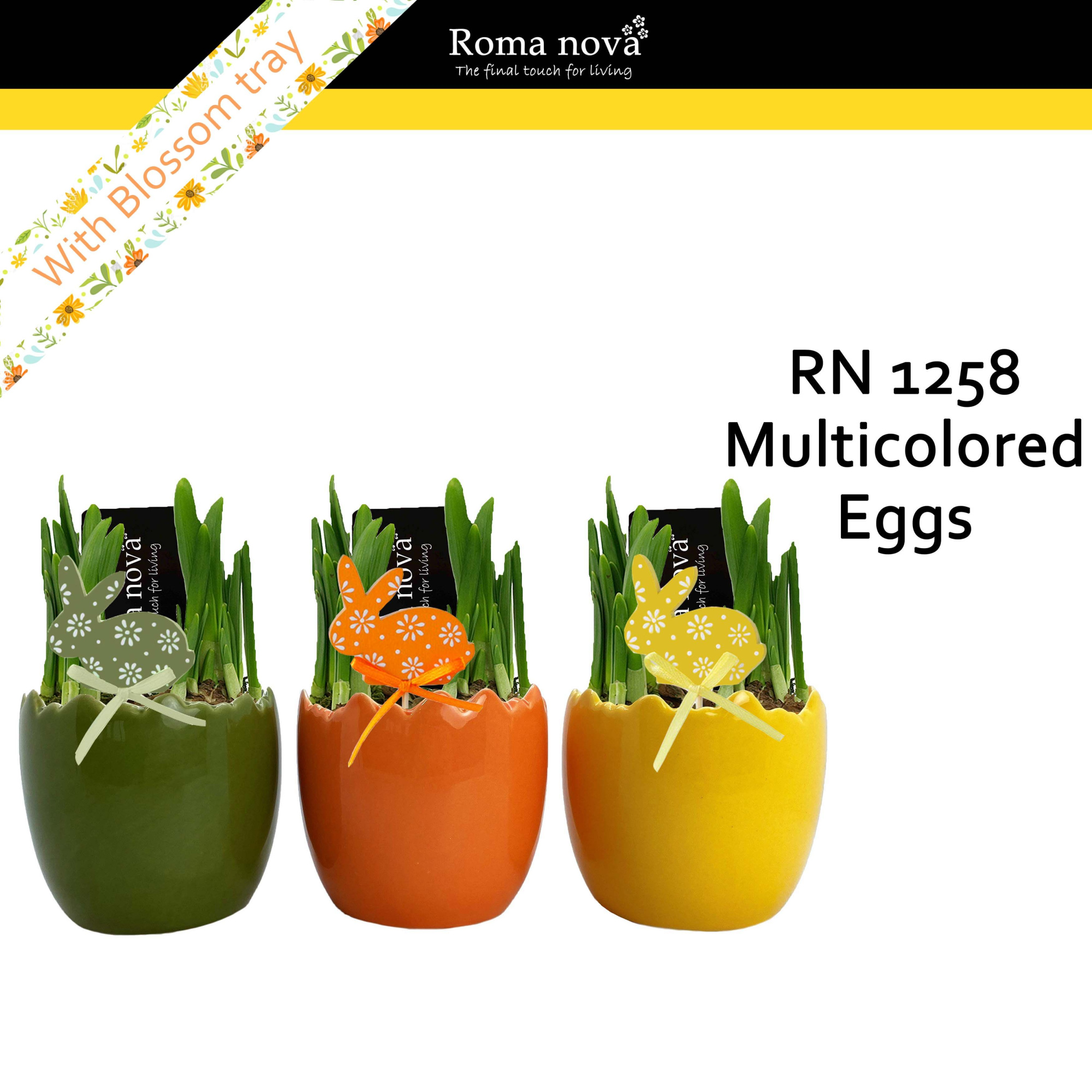 1258 - Multicolored Eggs (Tete a Tete), D 10