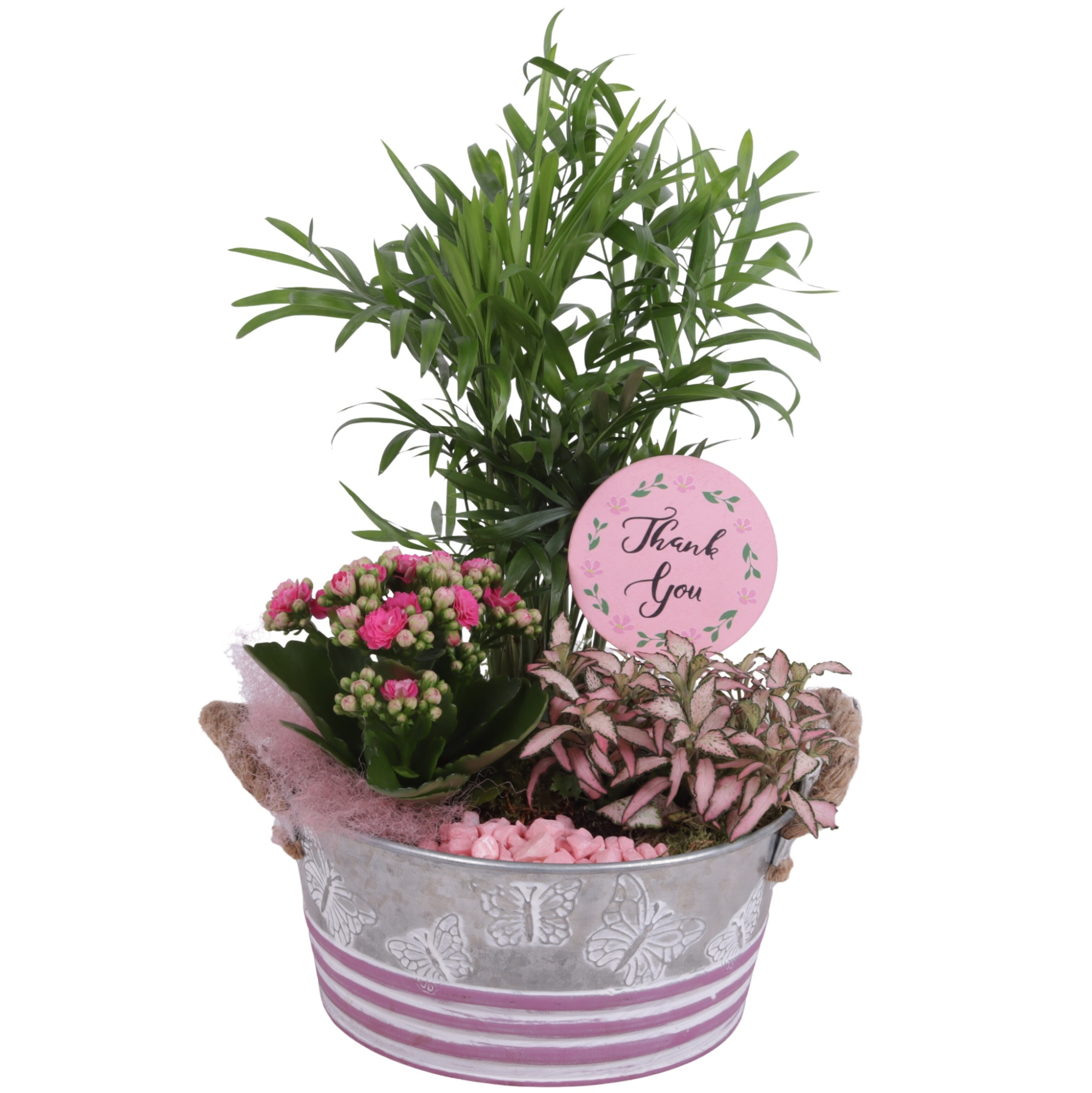 Mothersday Arr. Indoor Zinc Butterfly Pot Ø21cm 3PP, D 21