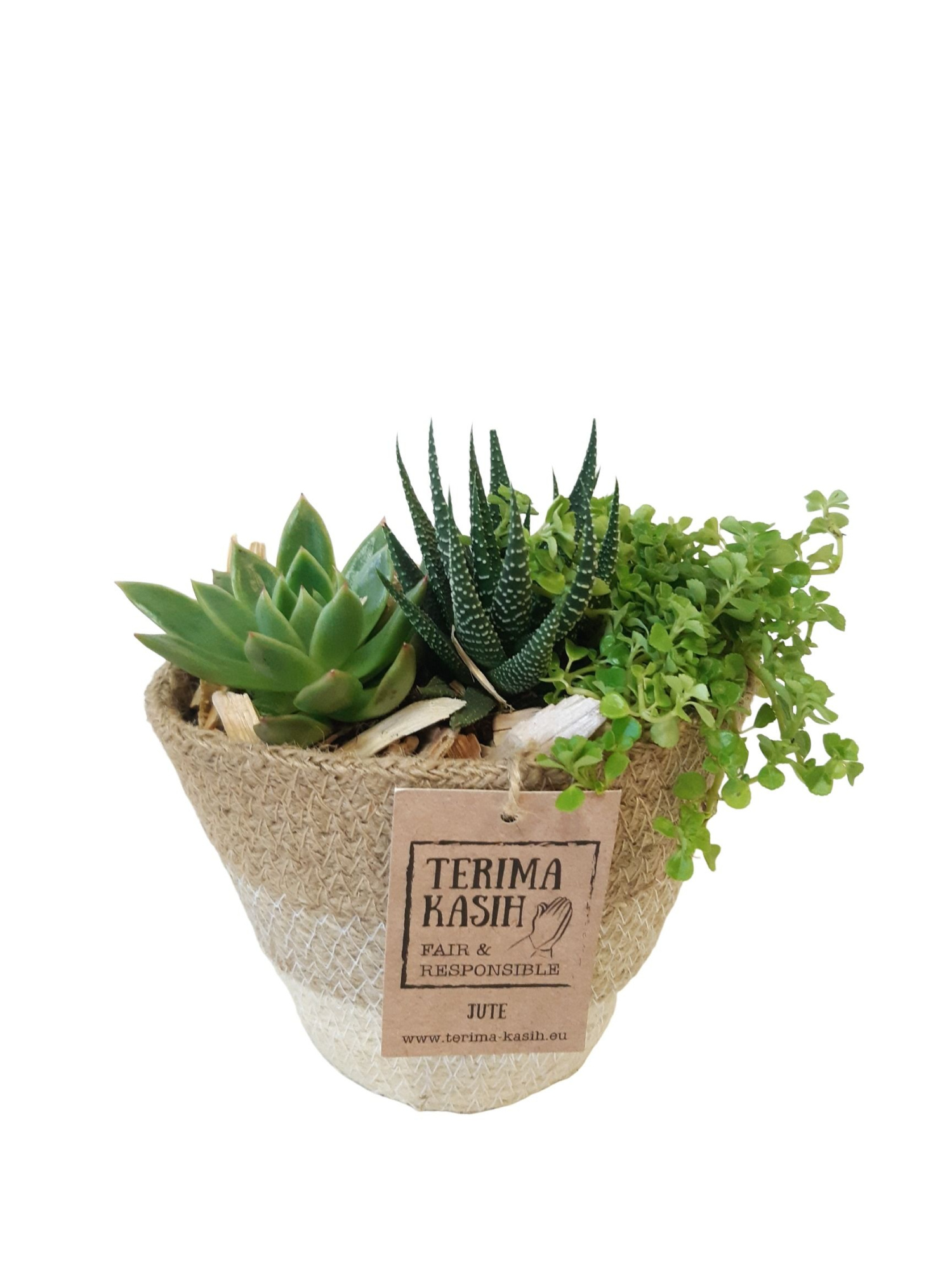 JMOWH14GMX Jute mand White Ovaal D16 mini groenmix, D 15 cm