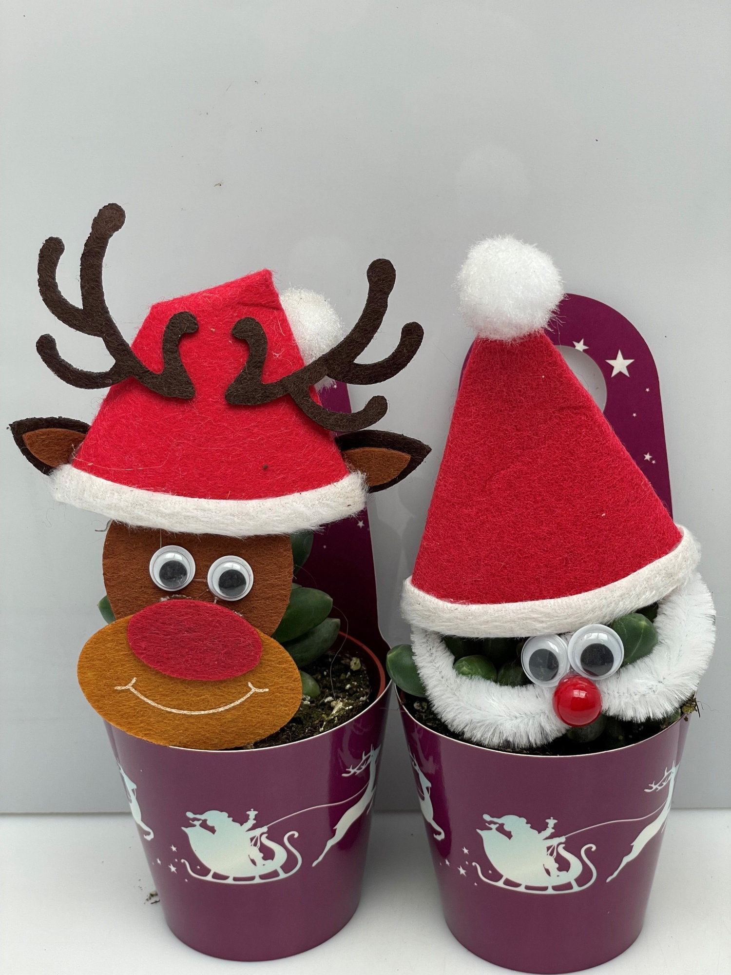 954 50%Kerstman+50%Reindeer vet Carry Cover6,5cm Engeland, D 7,5 cm